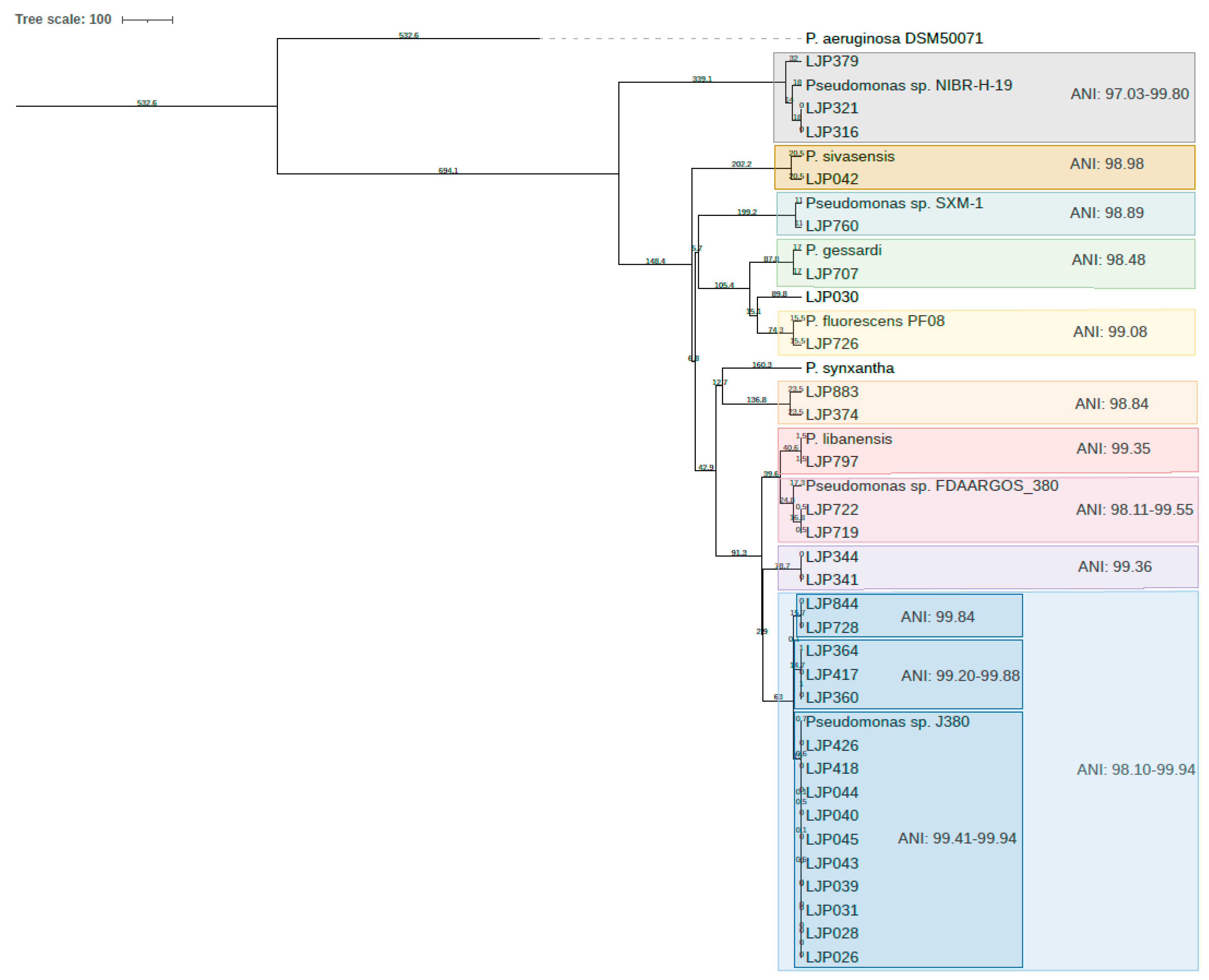 Microorganisms 10 01420 g003