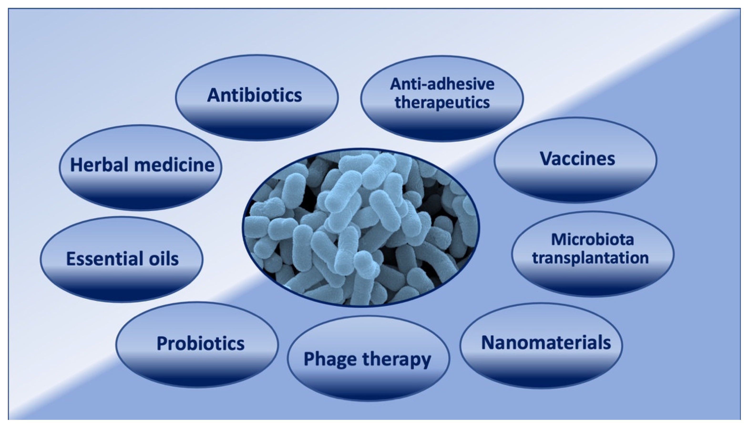 Microorganisms 10 01425 g002