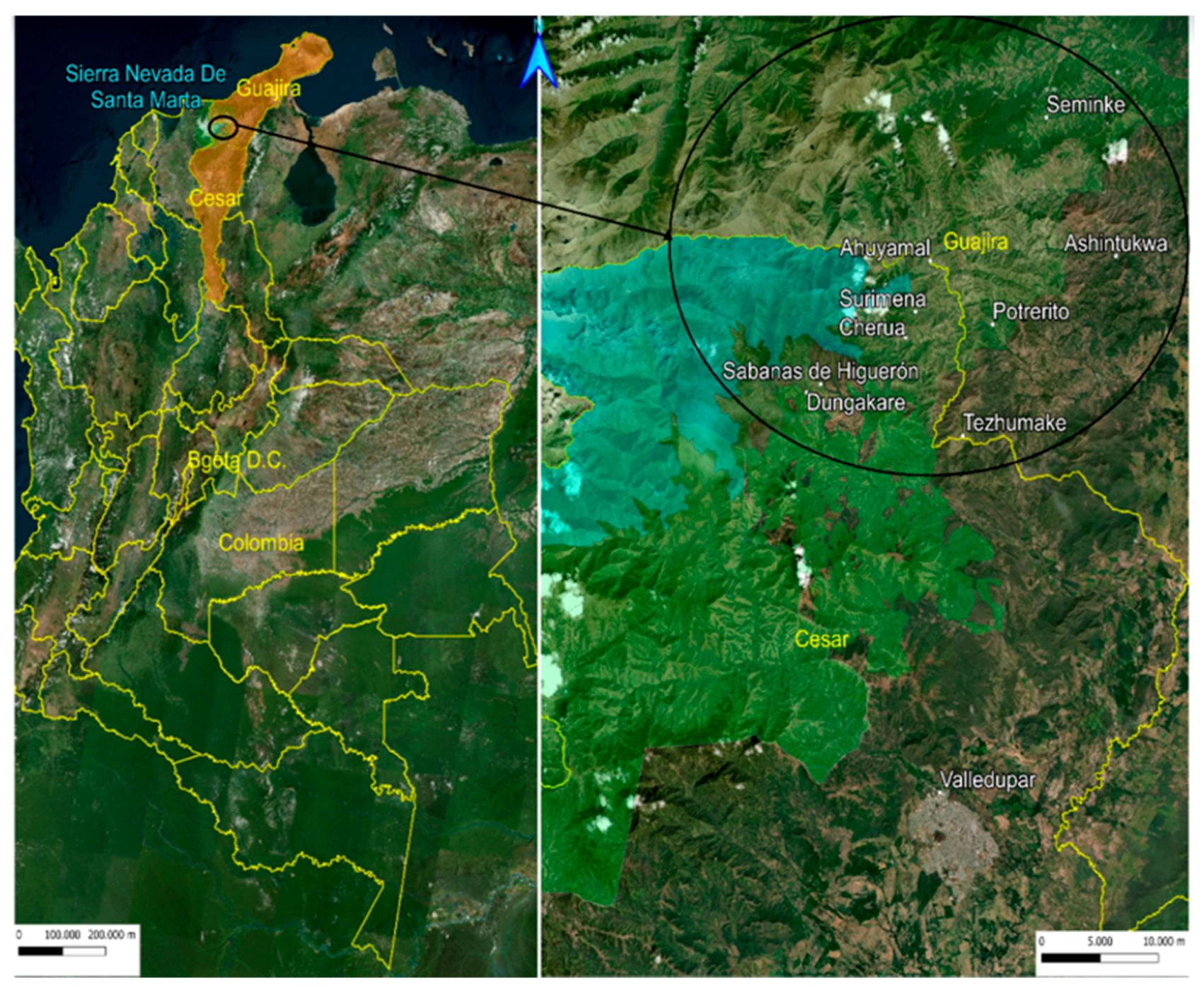 Microorganisms 10 01427 g001 550