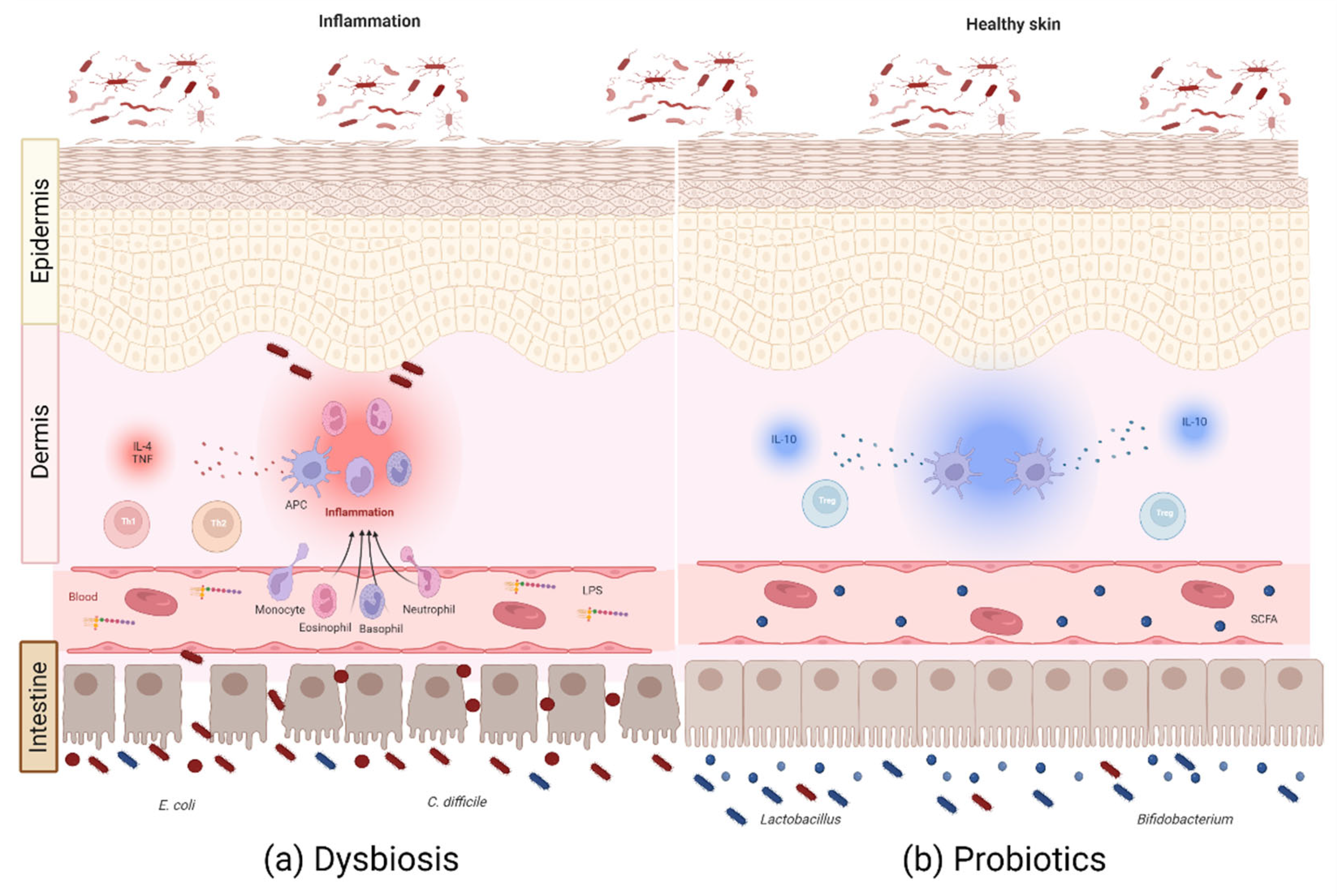 Microorganisms 10 01428 g002 Microorganisms 10 01428 g002