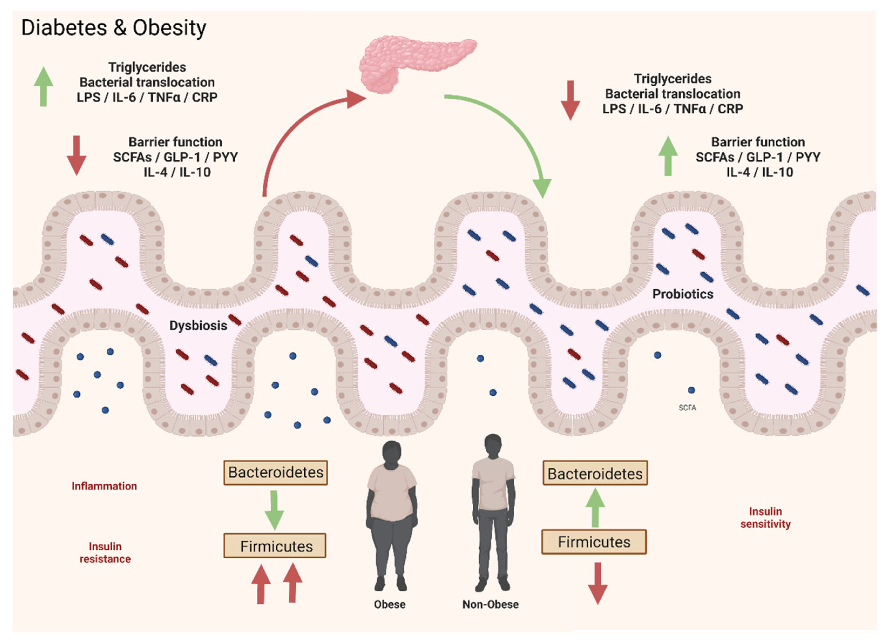 Microorganisms 10 01428 g005 Microorganisms 10 01428 g005