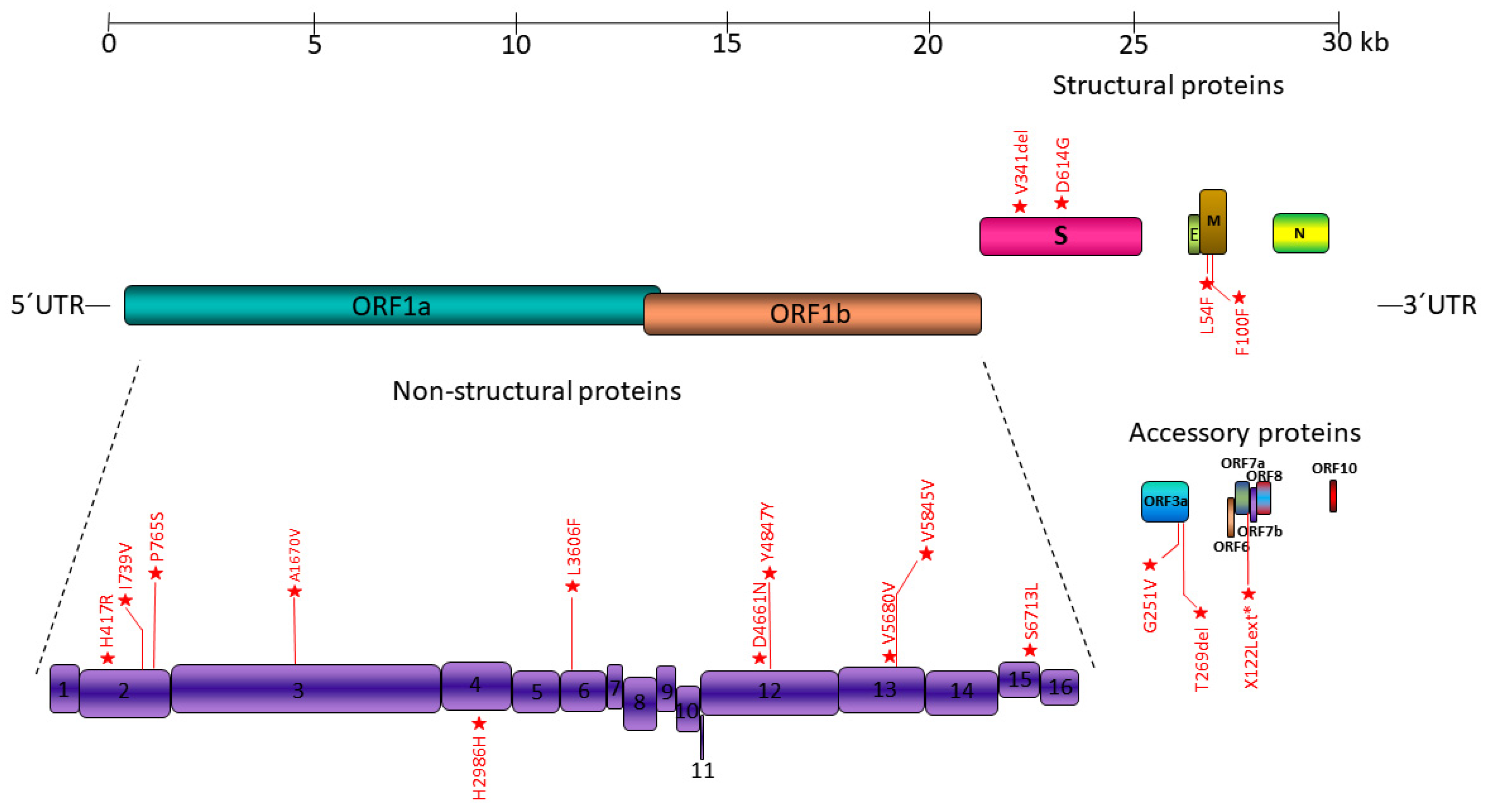 Microorganisms 10 01430 g001