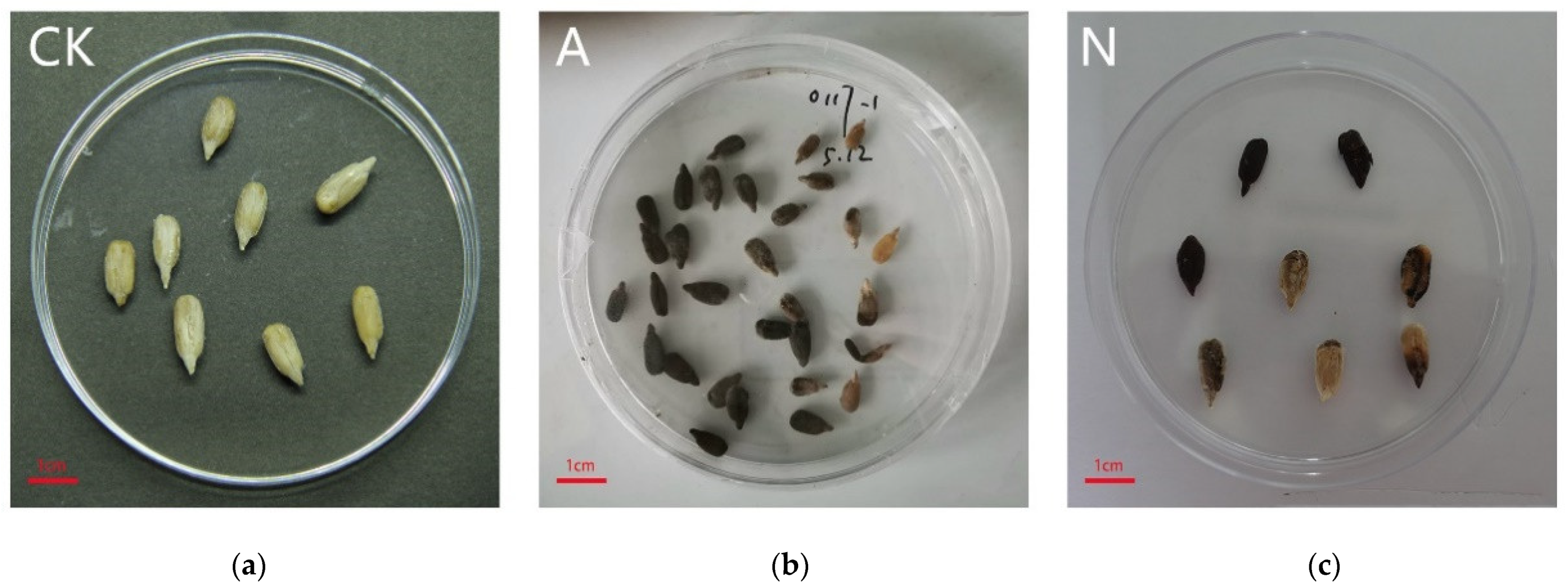 Microorganisms 10 01434 g006