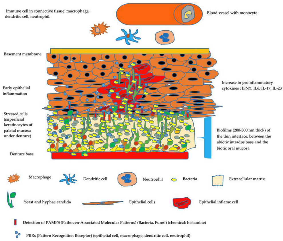 Microorganisms 10 01437 g003 Microorganisms 10 01437 g003
