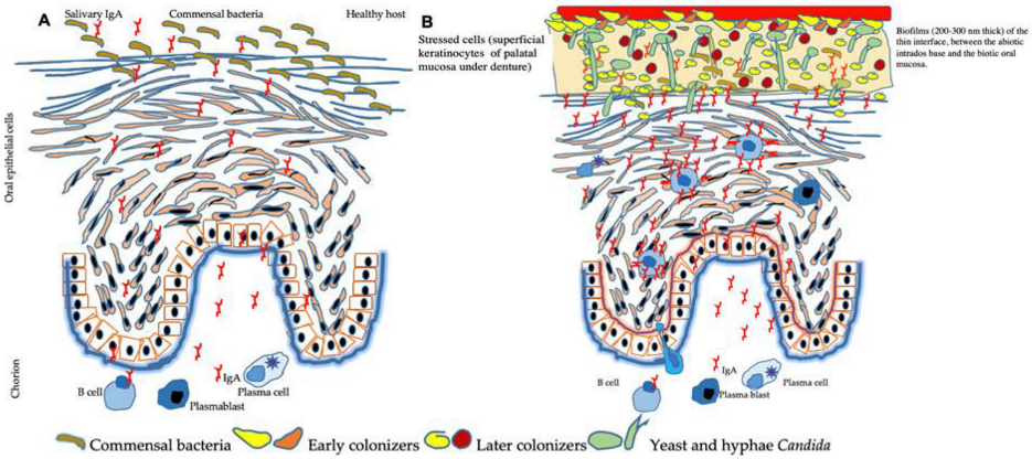 Microorganisms 10 01437 g005 Microorganisms 10 01437 g005