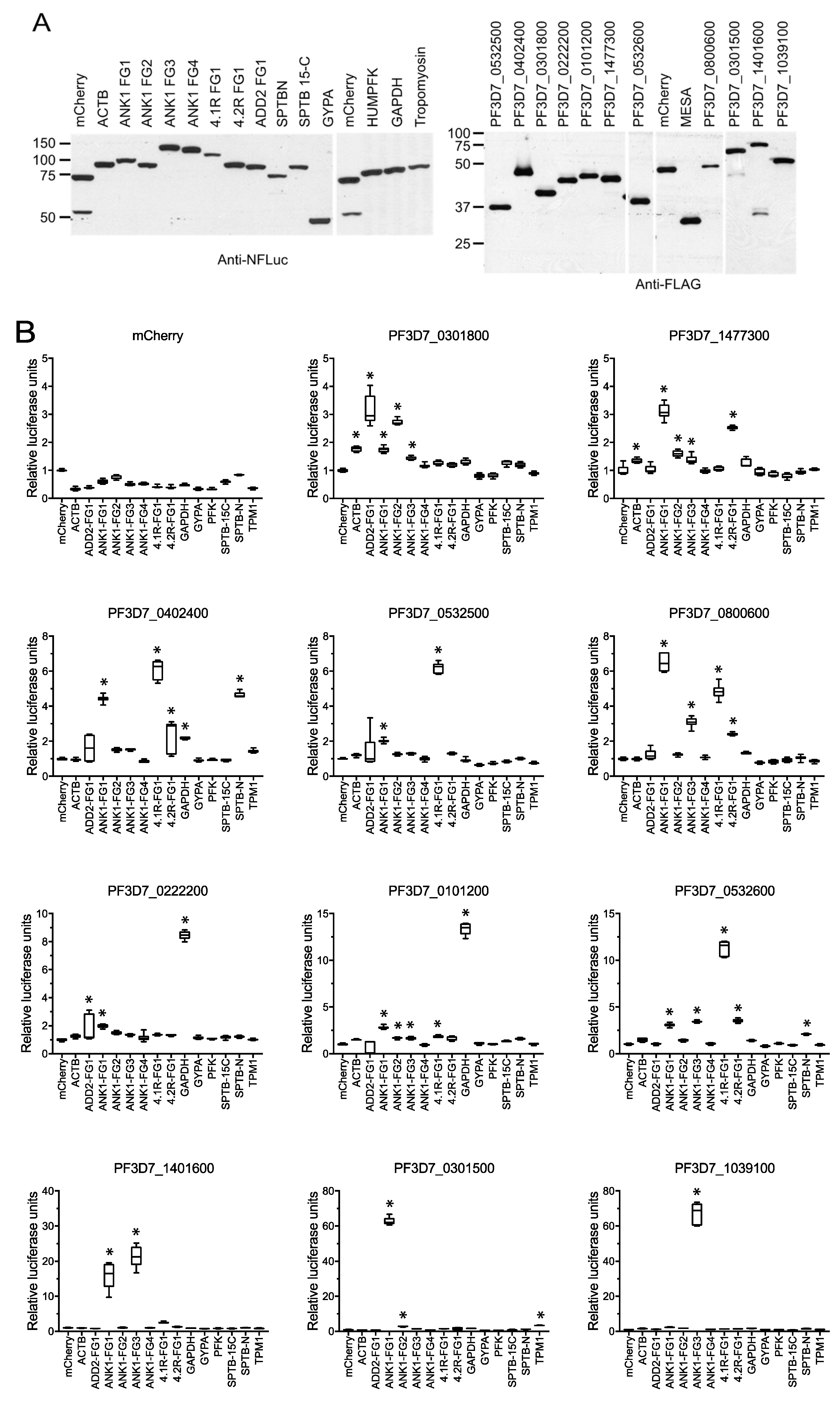 Microorganisms 10 01438 g004 Microorganisms 10 01438 g004