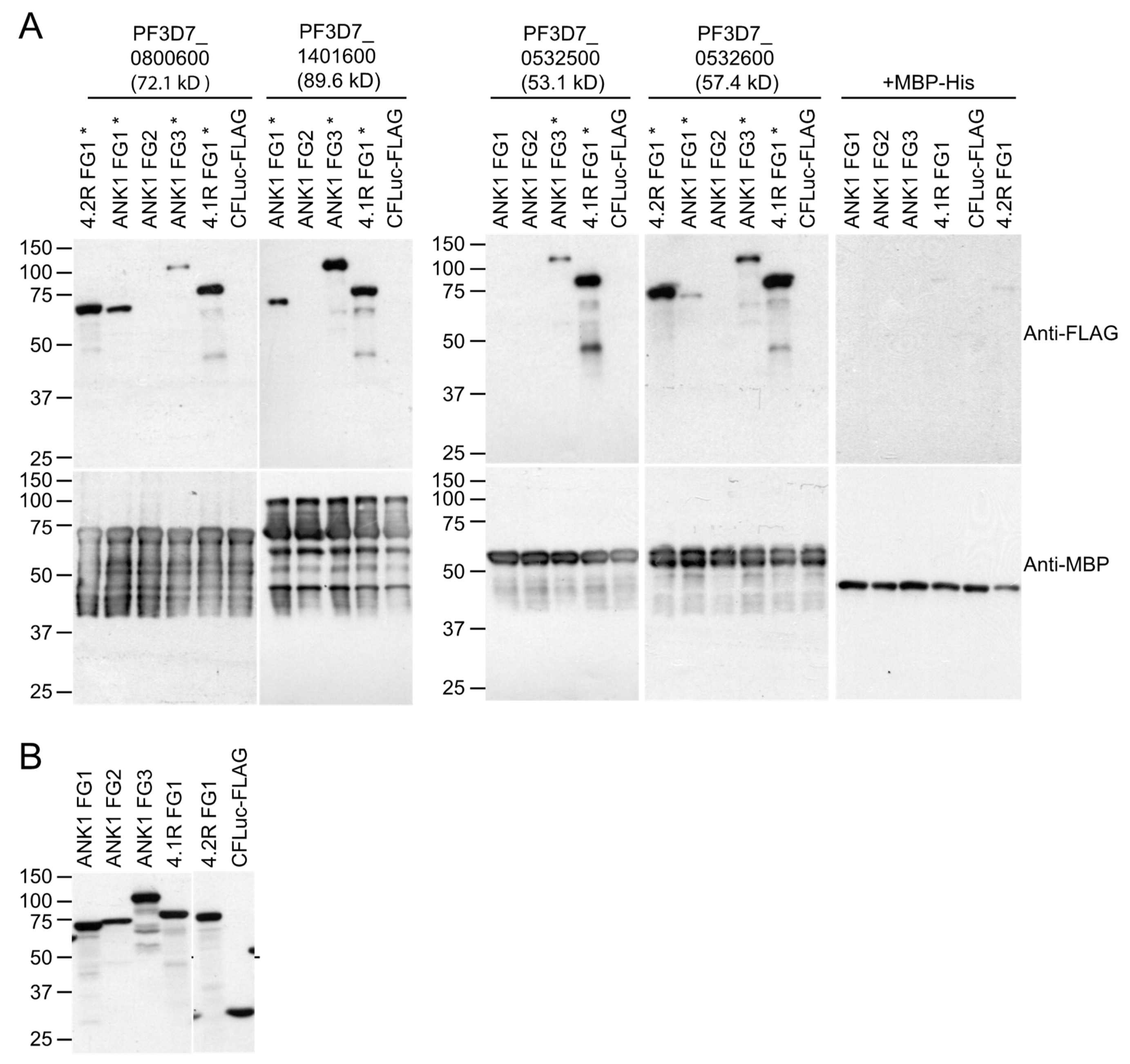 Microorganisms 10 01438 g005 Microorganisms 10 01438 g005