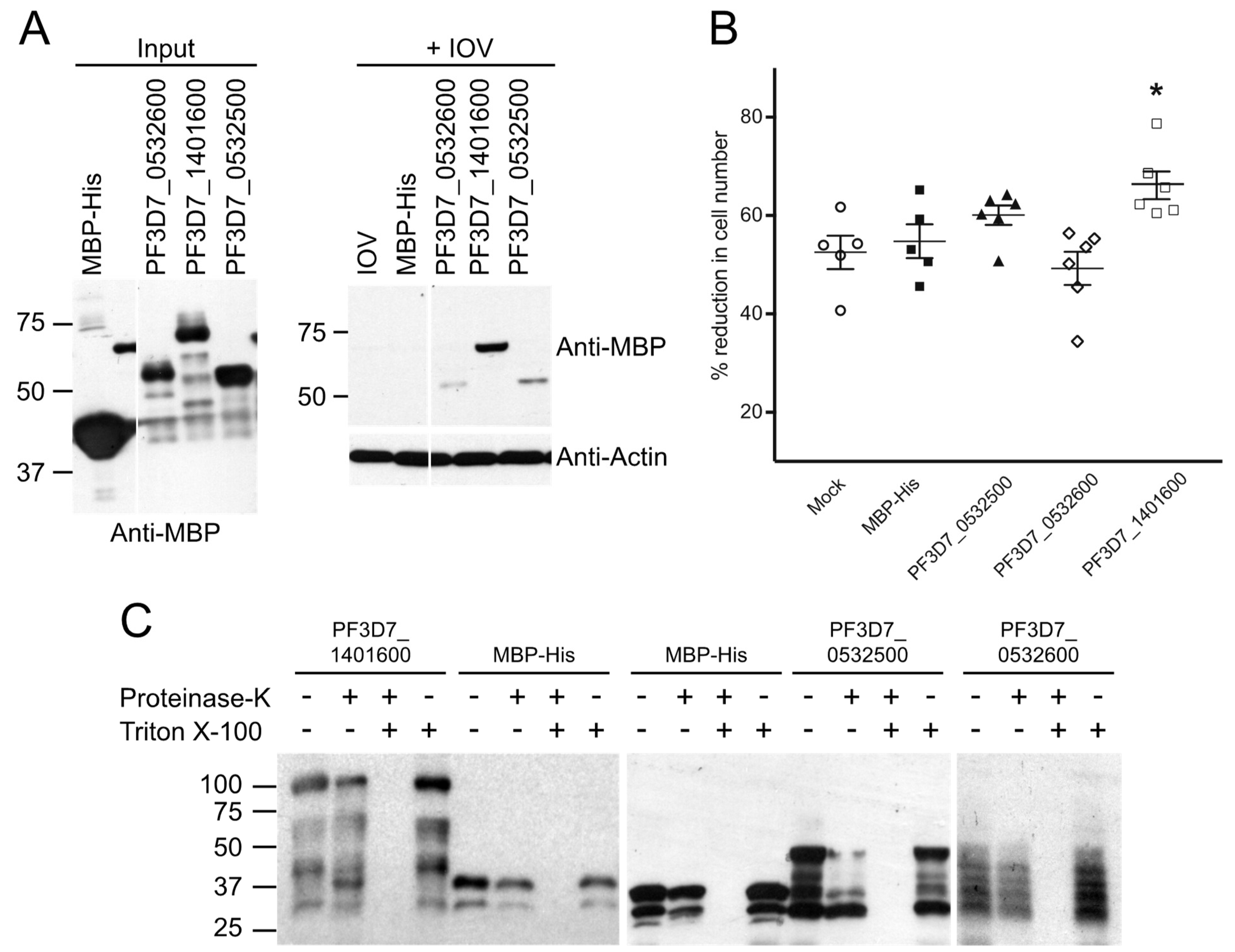 Microorganisms 10 01438 g008 Microorganisms 10 01438 g008