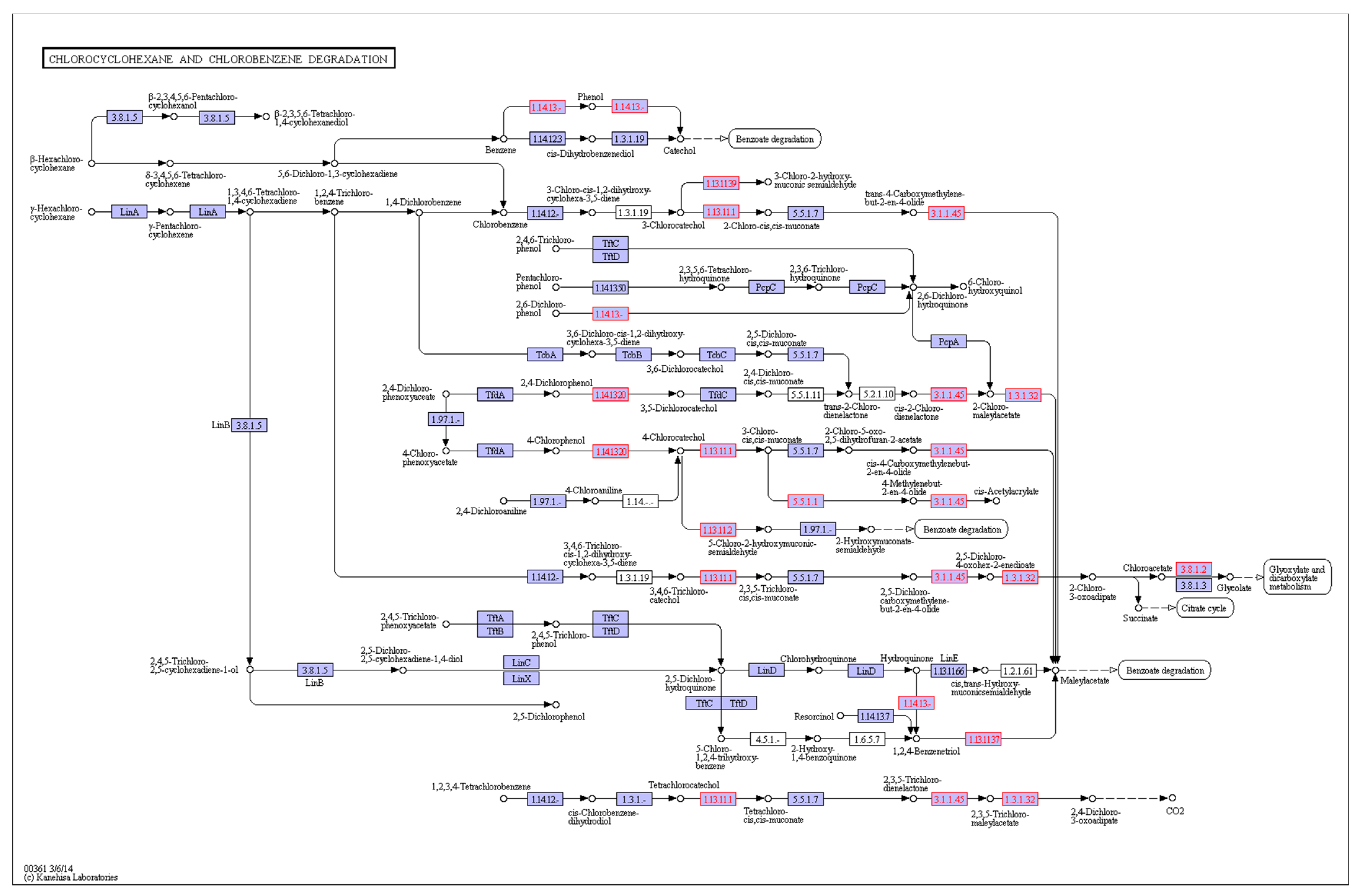 Microorganisms 10 01441 g008