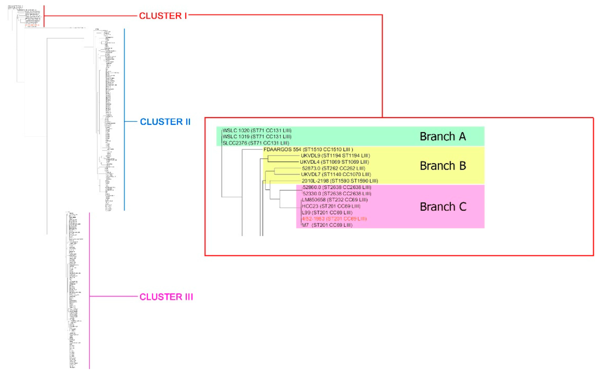 Microorganisms 10 01442 g002