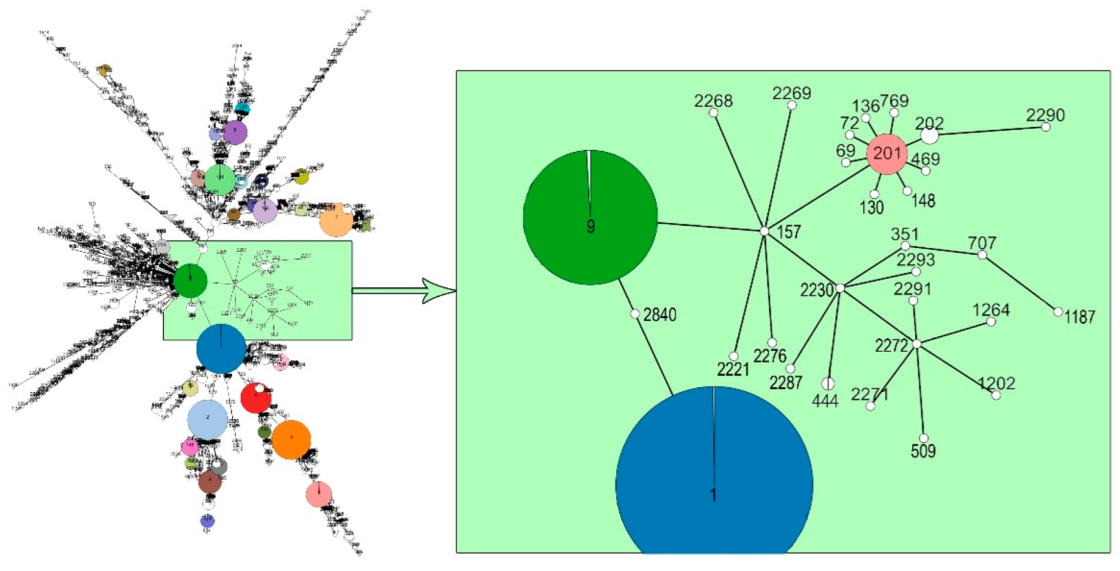 Microorganisms 10 01442 g003