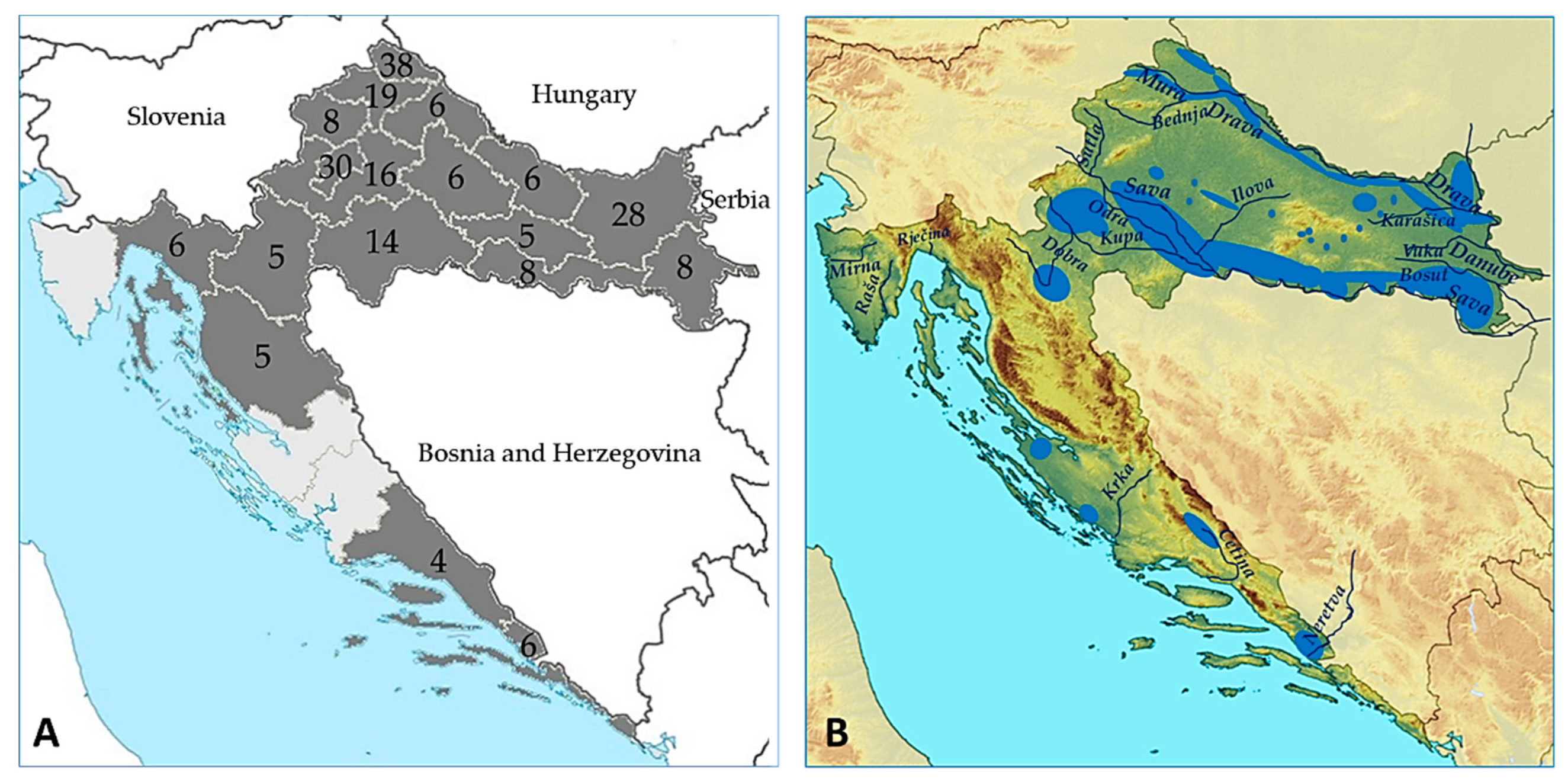 Microorganisms 10 01443 g001 550