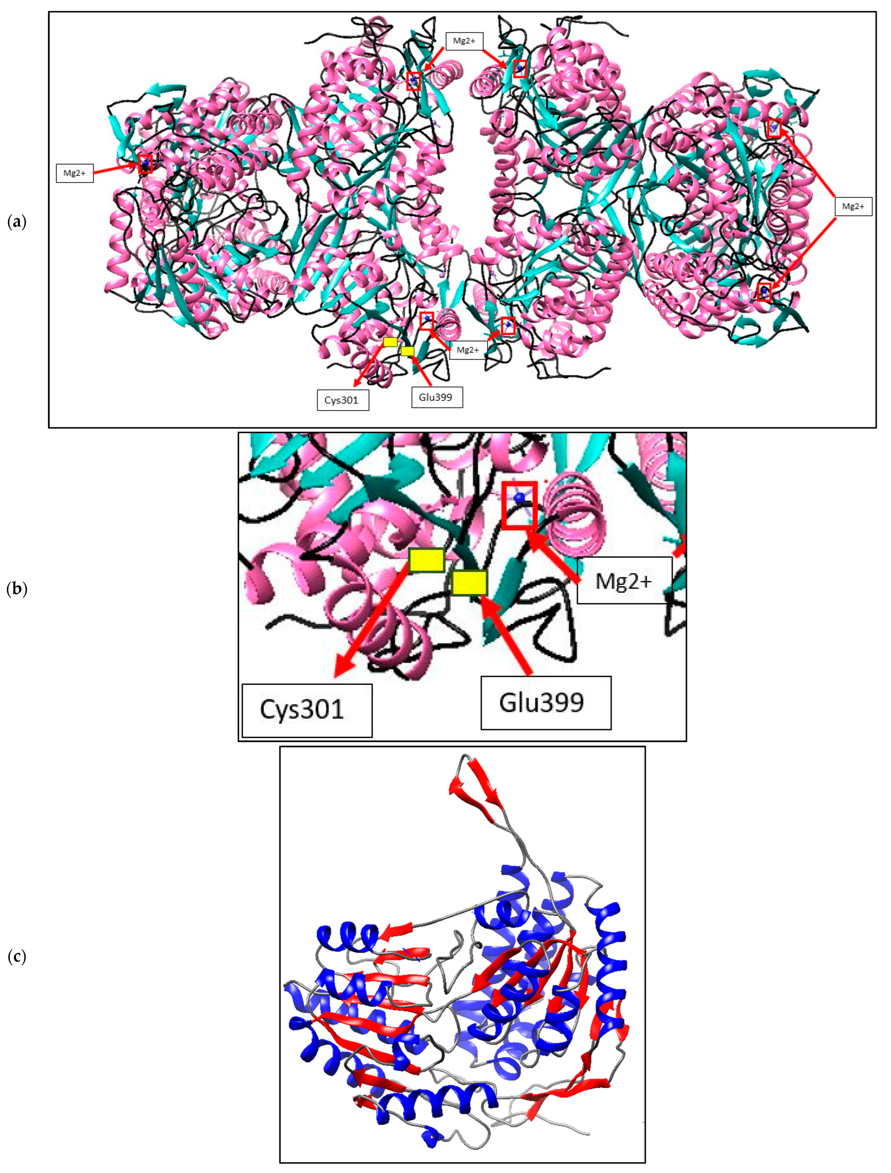 Microorganisms 10 01444 g003