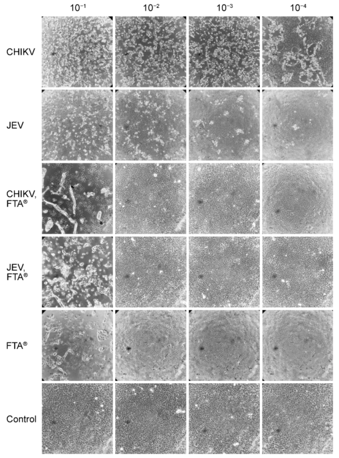 Microorganisms 10 01445 g002
