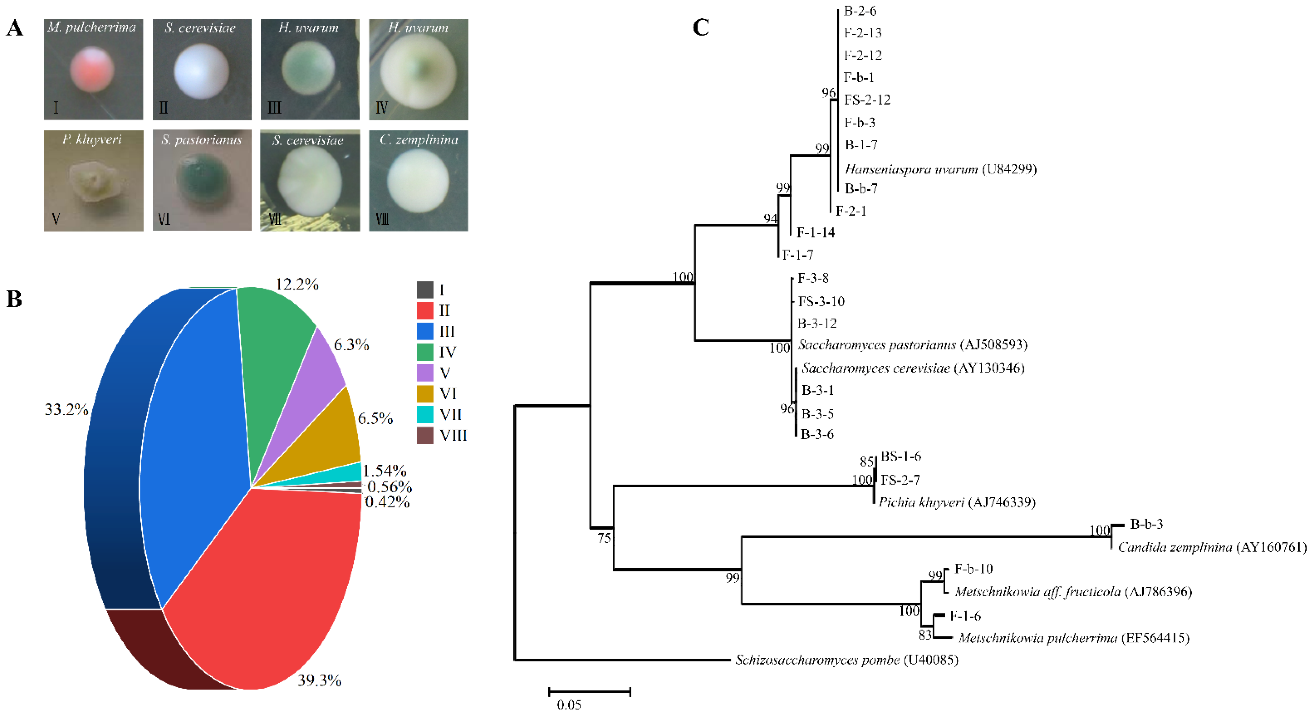 Microorganisms 10 01455 g001