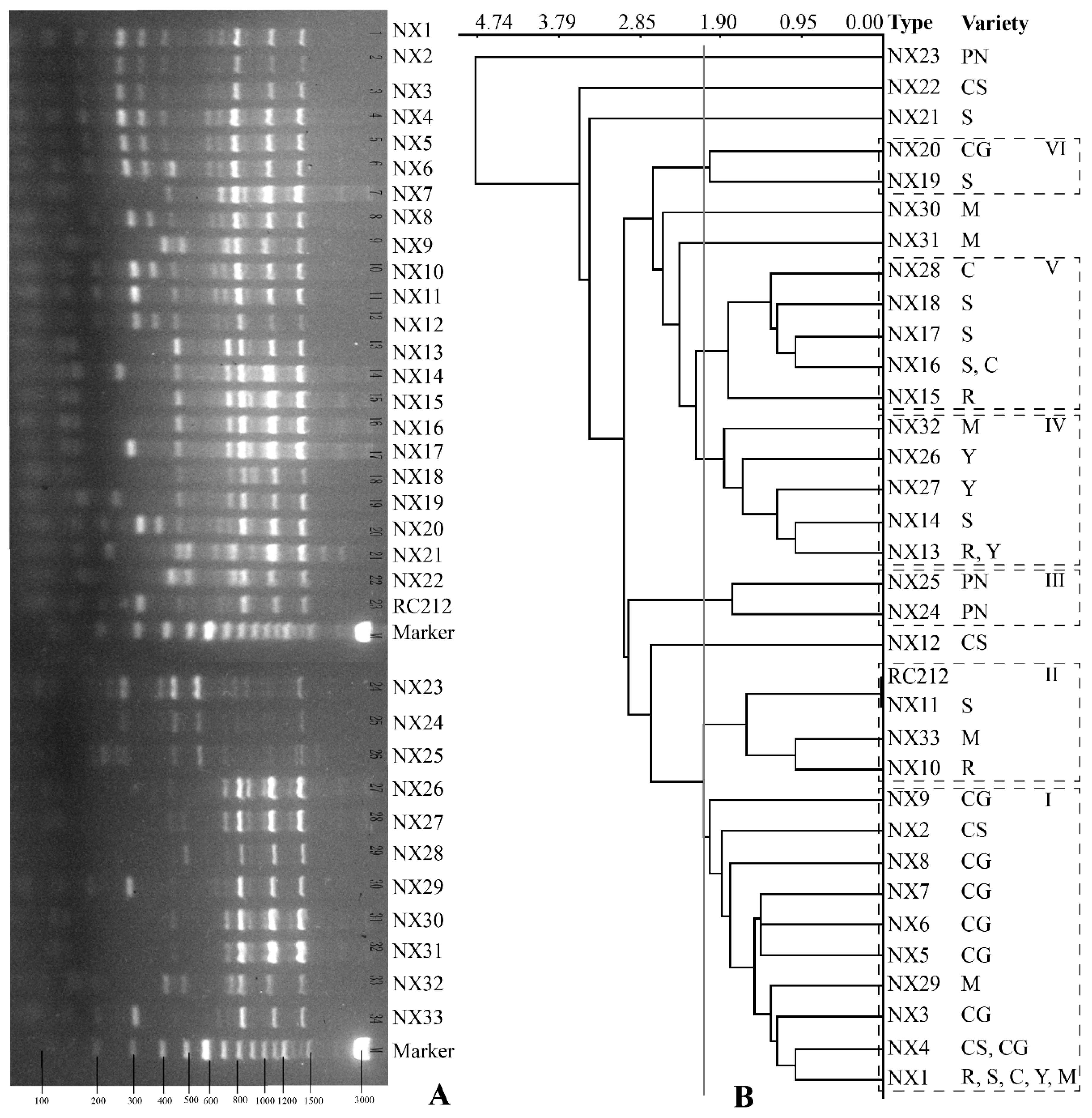 Microorganisms 10 01455 g003