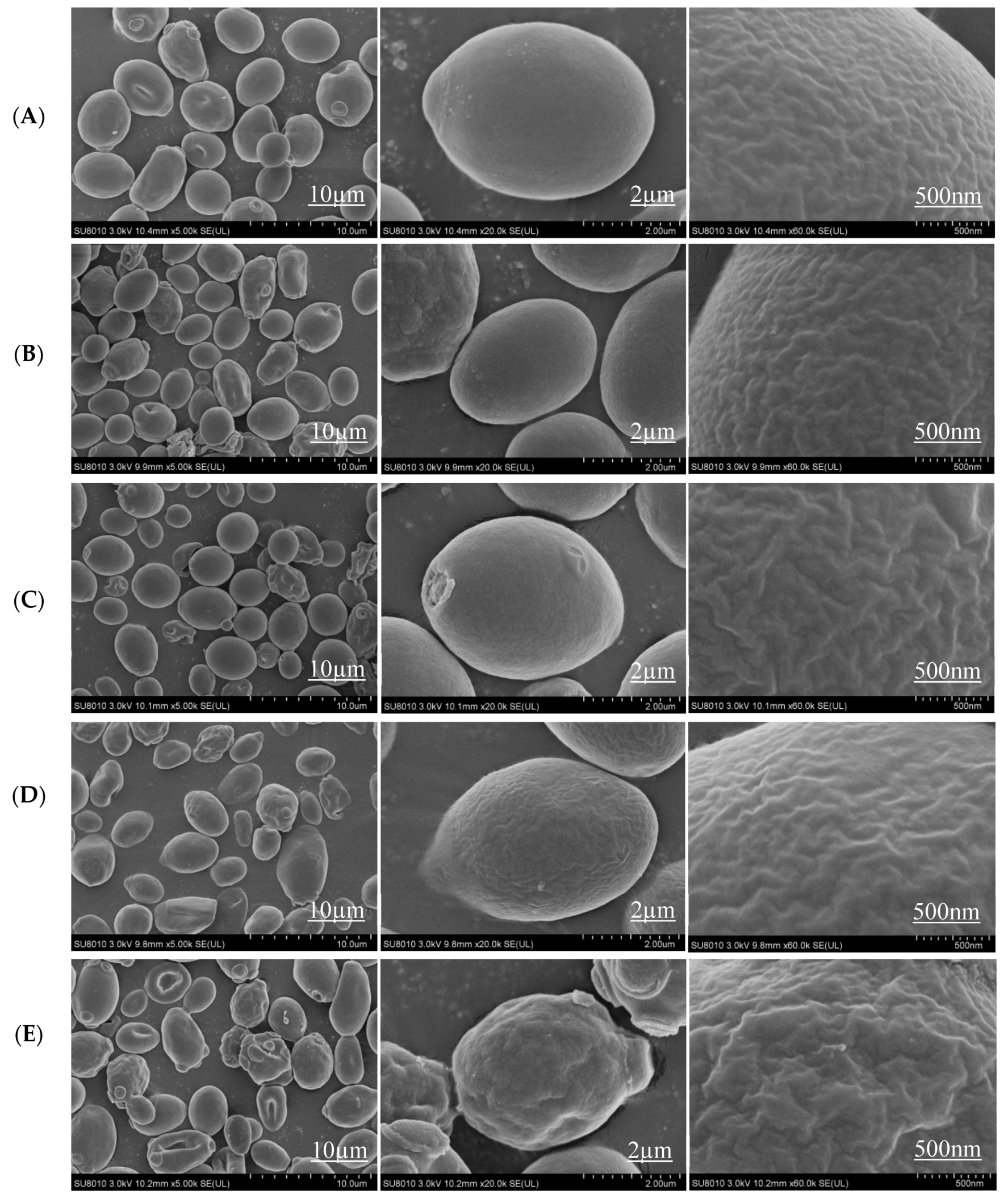 Microorganisms 10 01456 g004 Microorganisms 10 01456 g004