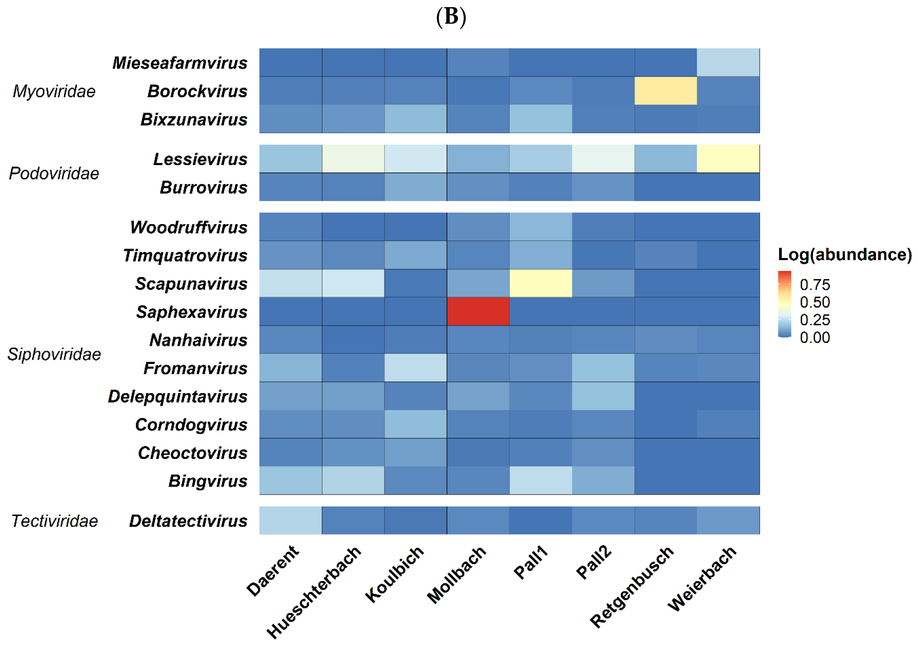 Microorganisms 10 01458 g003b 550