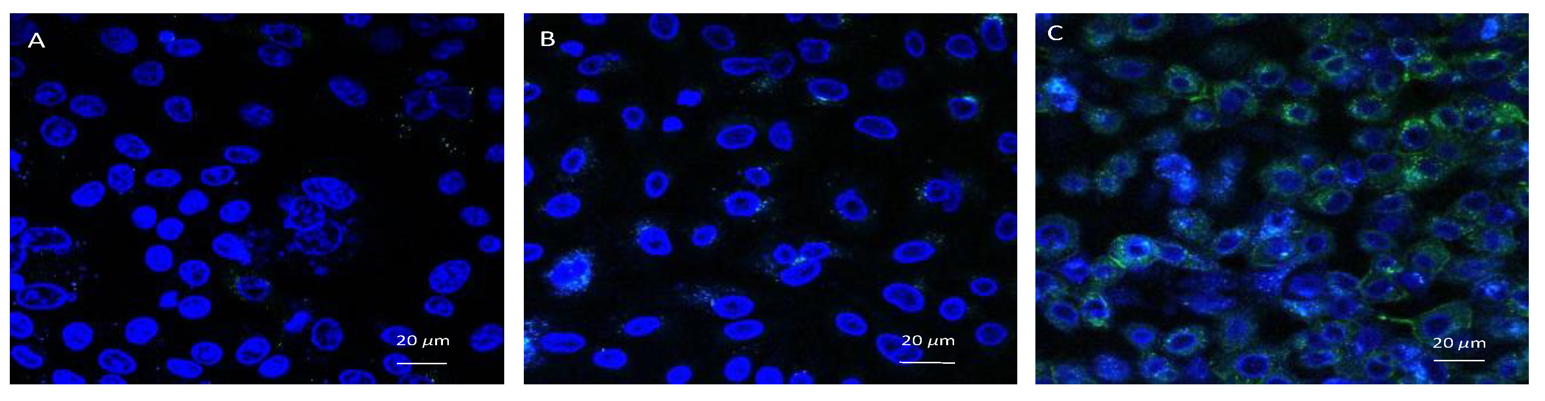 Microorganisms 10 01462 g006