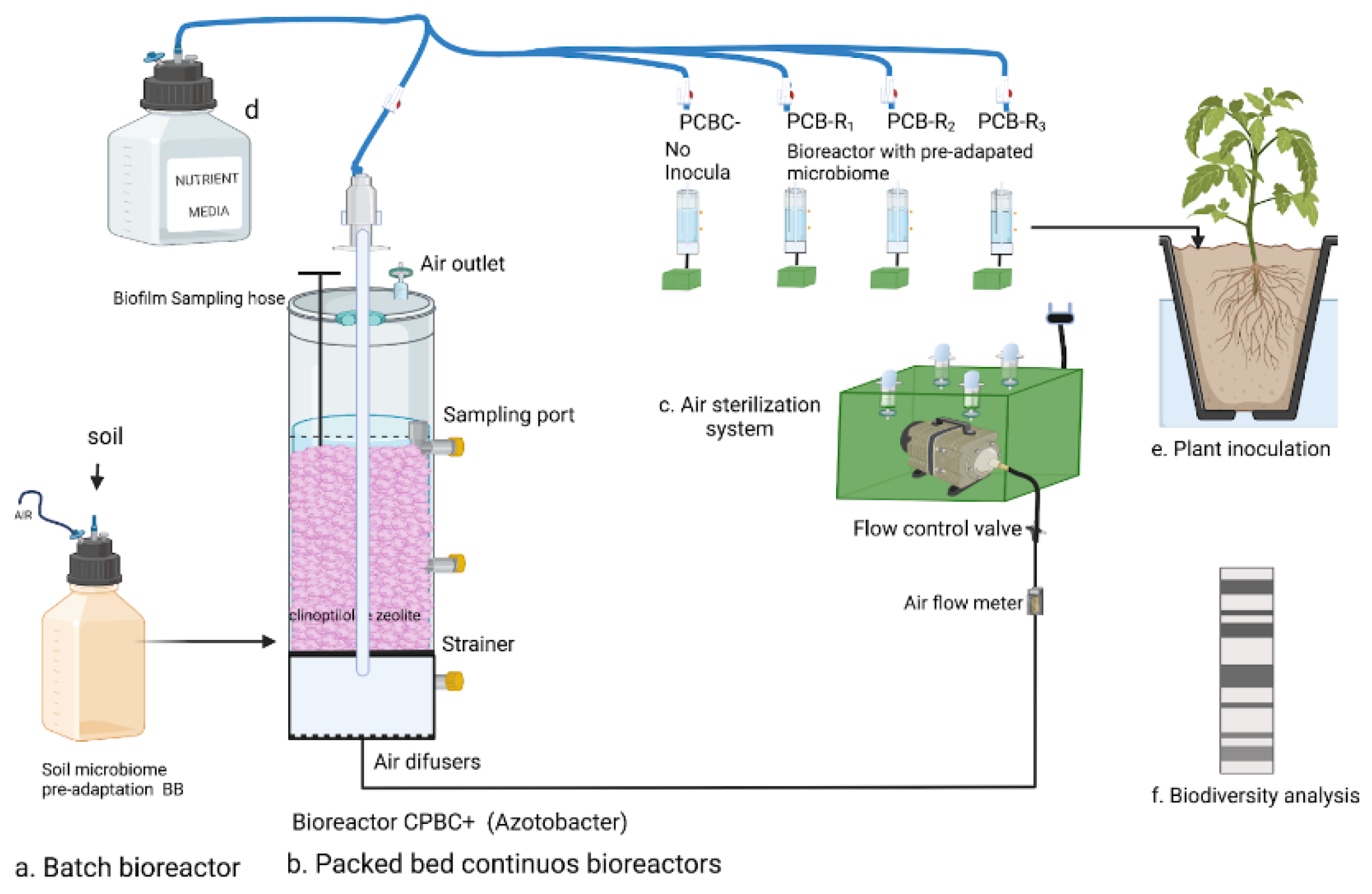 Microorganisms 10 01464 g001