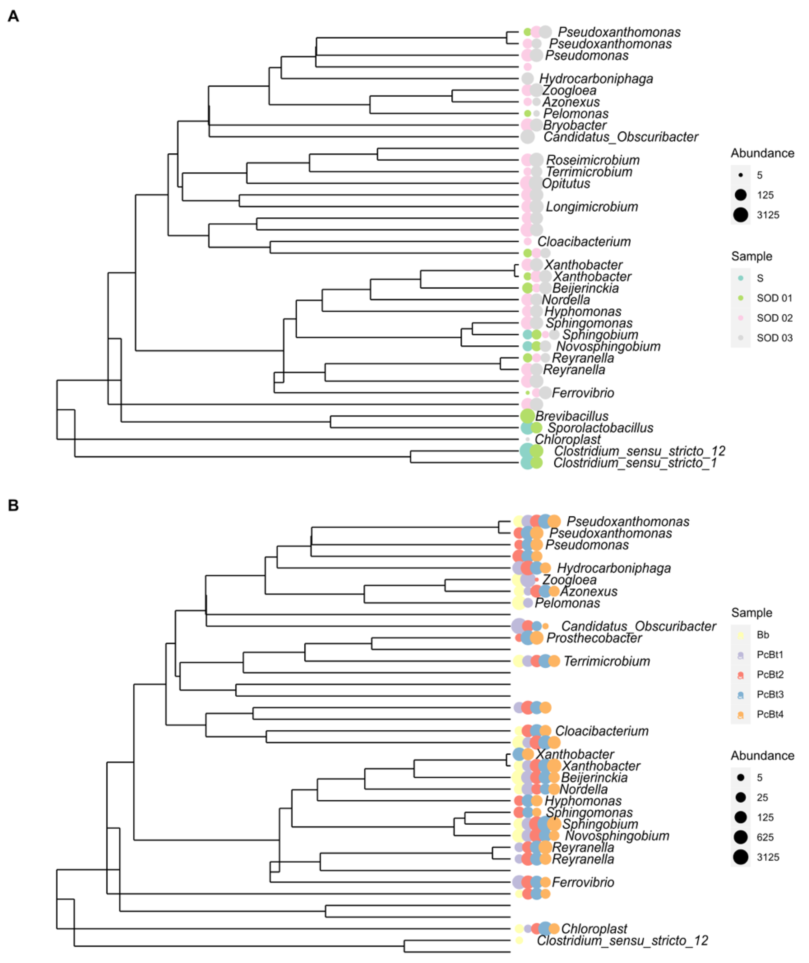 Microorganisms 10 01464 g004