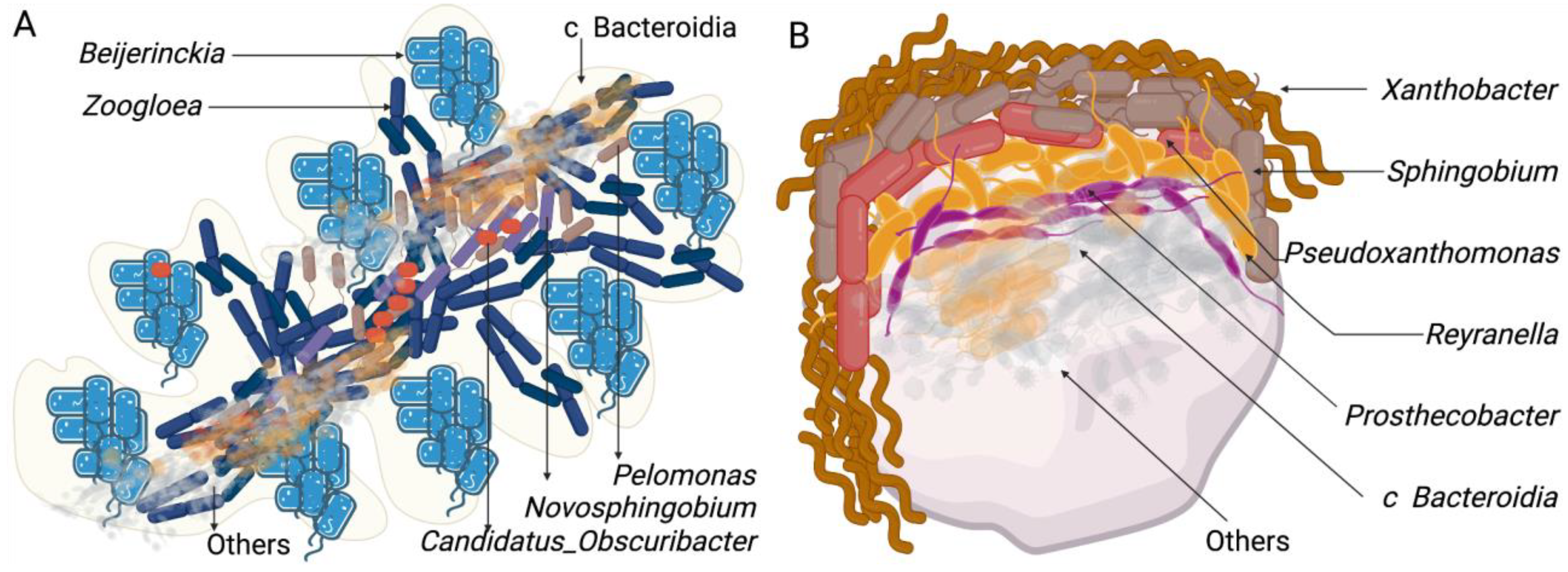 Microorganisms 10 01464 g007