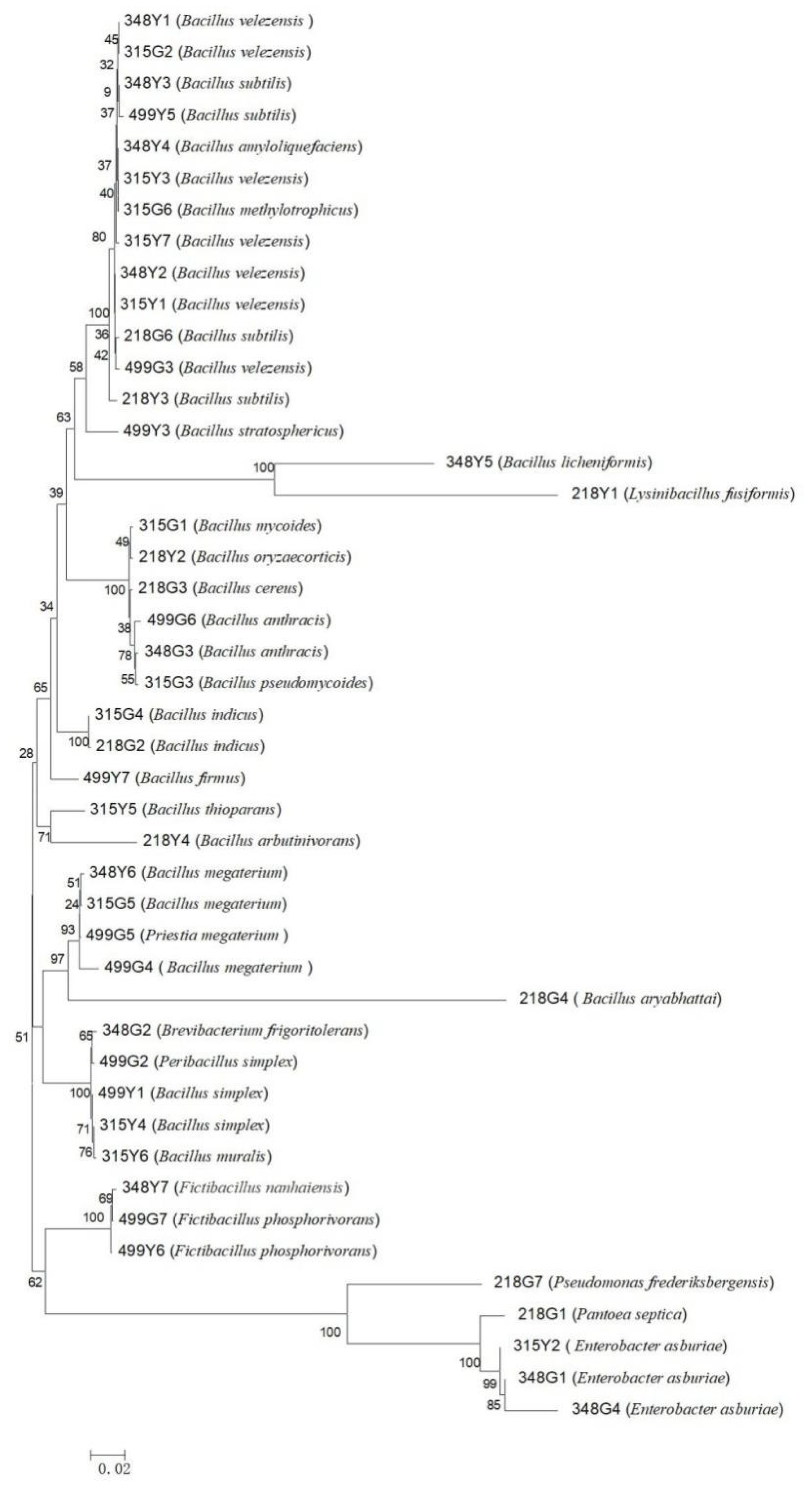 Microorganisms 10 01468 g001