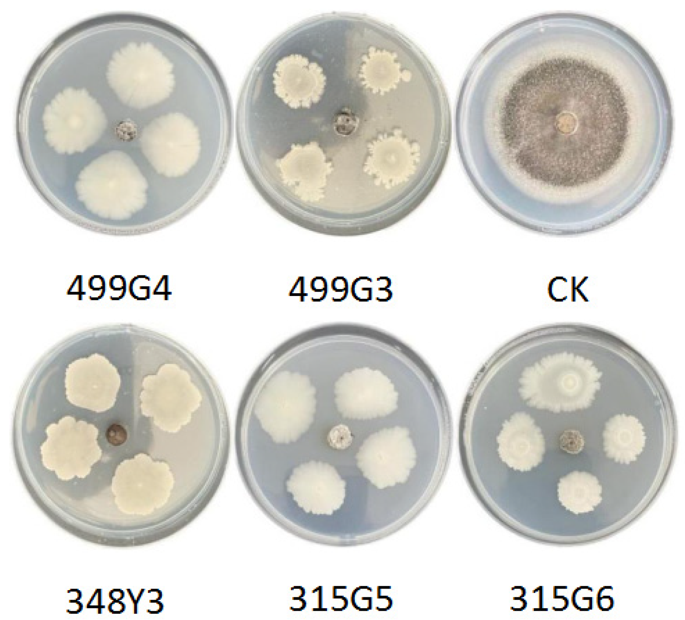 Microorganisms 10 01468 g002