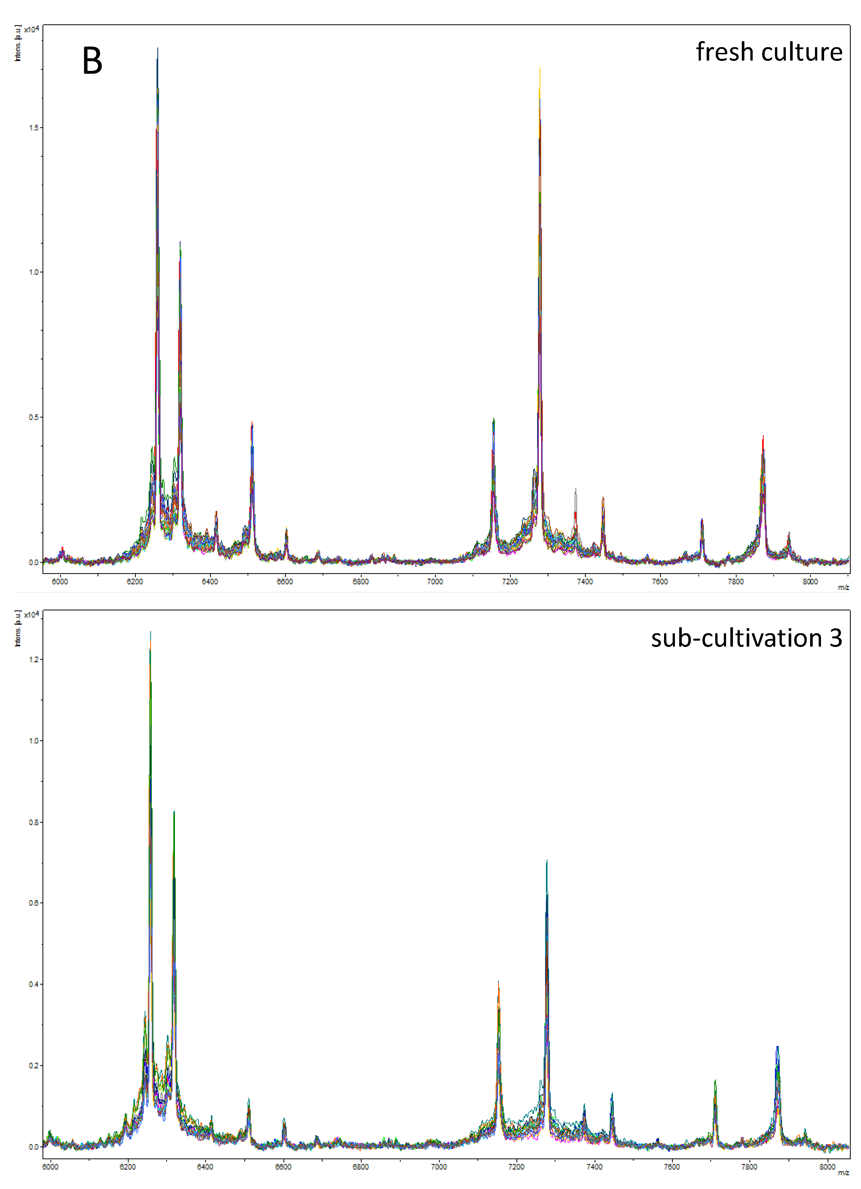 Microorganisms 10 01472 g002b