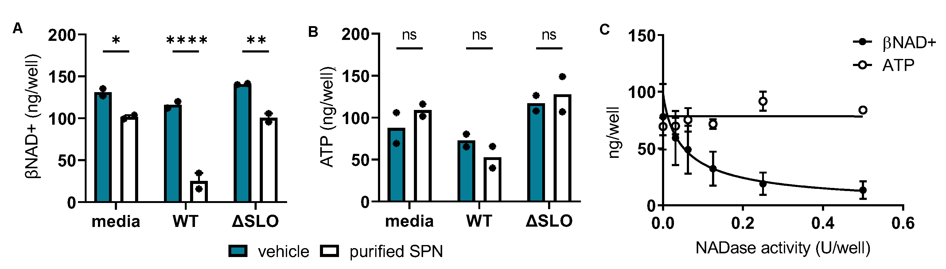 Microorganisms 10 01476 g002