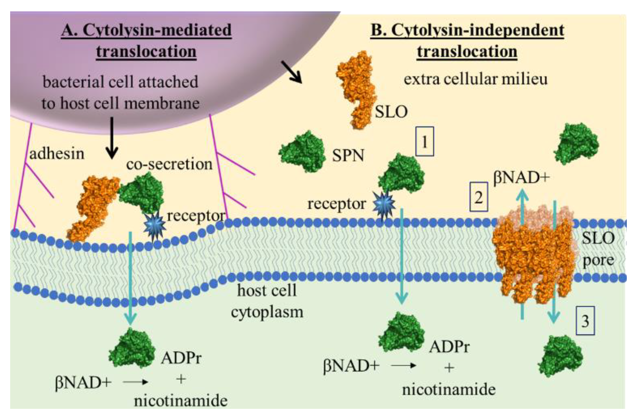Microorganisms 10 01476 g006