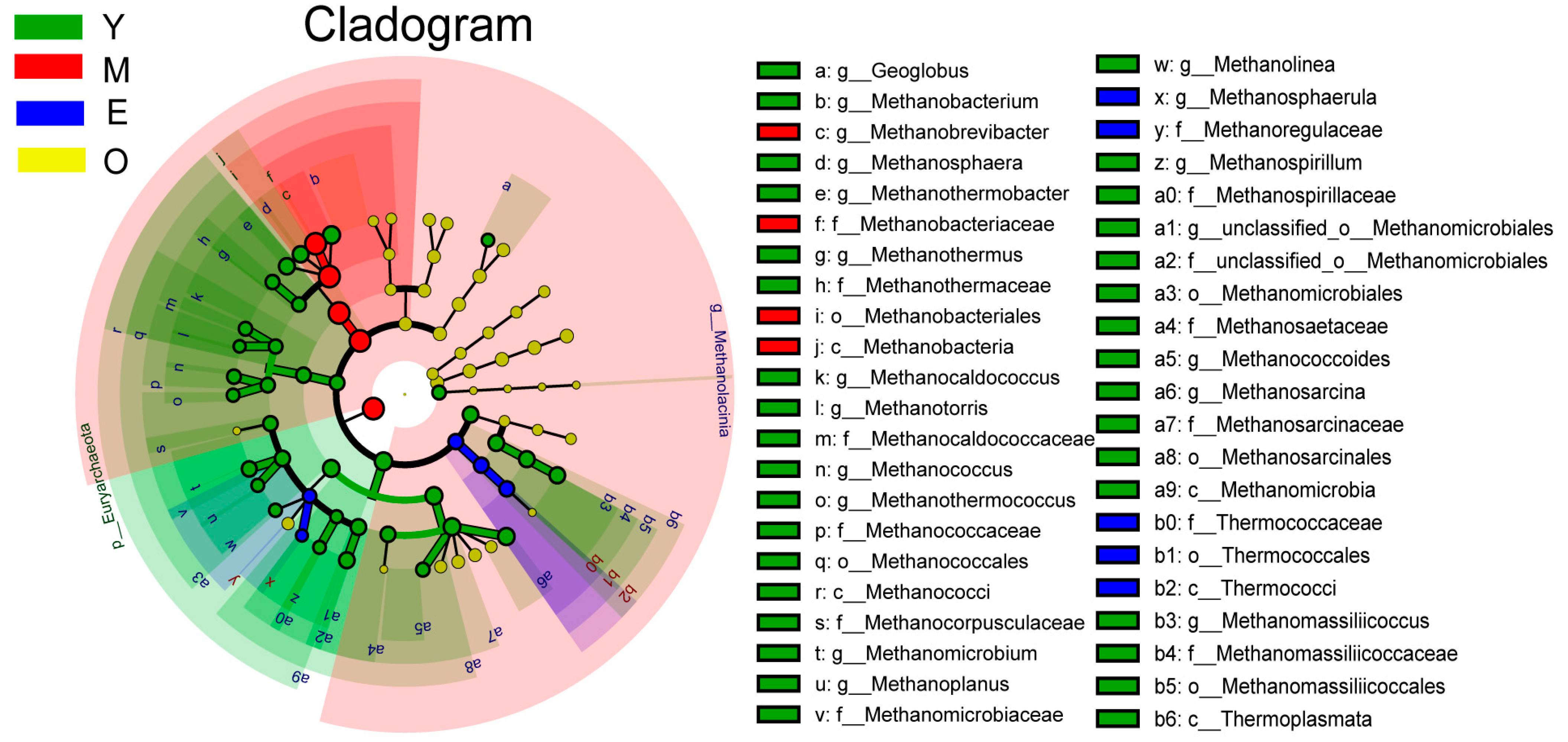 Microorganisms 10 01491 g002