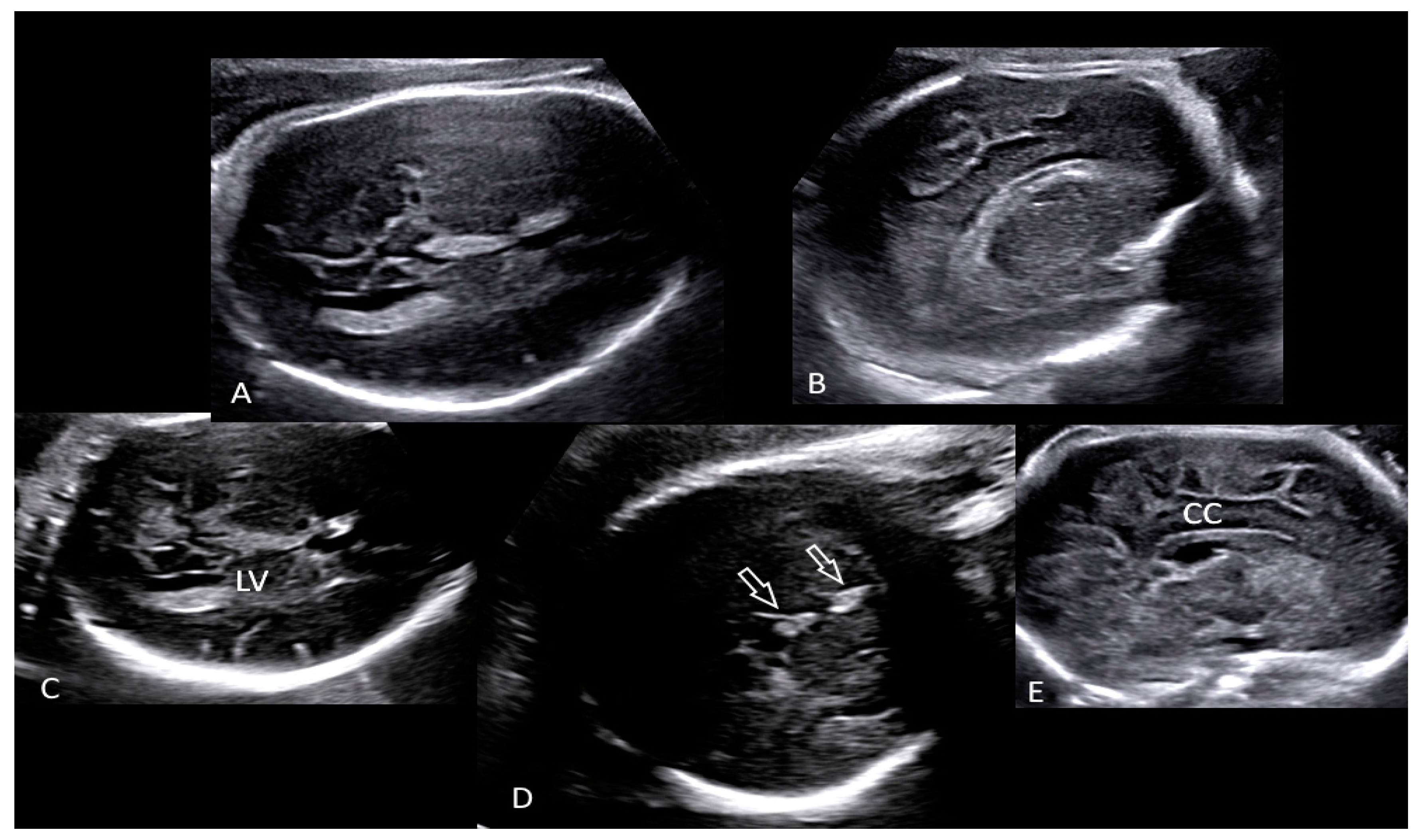 Microorganisms 10 01497 g001