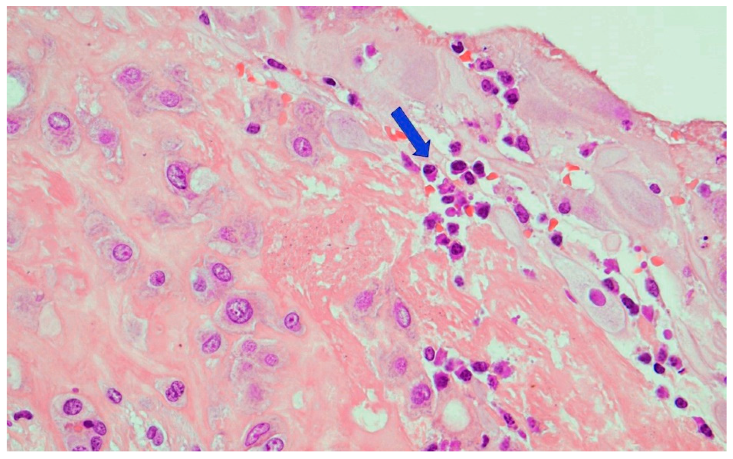 Microorganisms 10 01497 g007