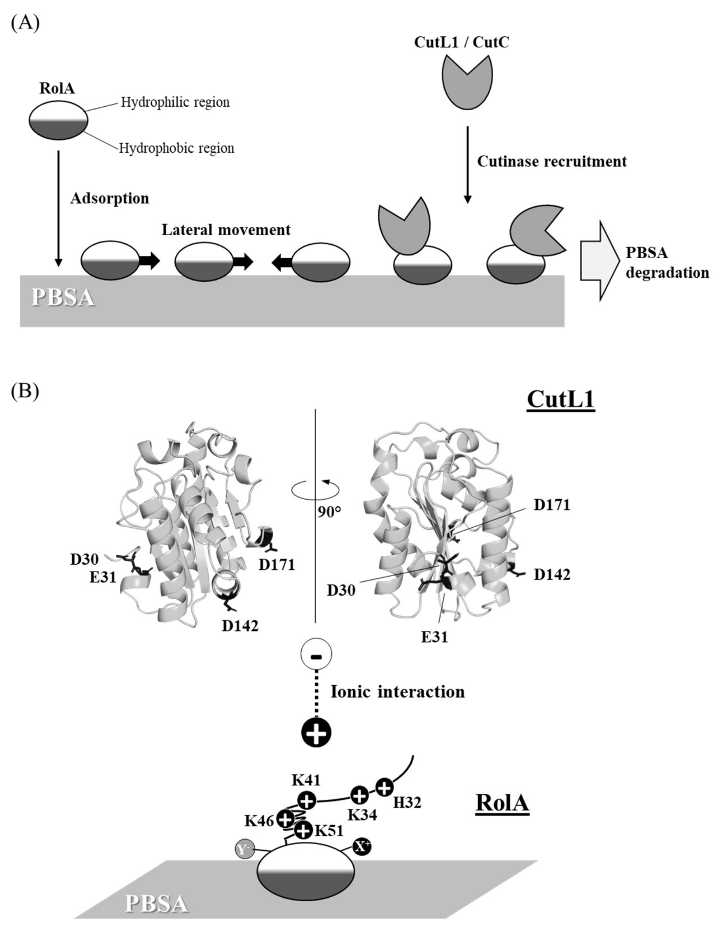 Microorganisms 10 01498 g003 550