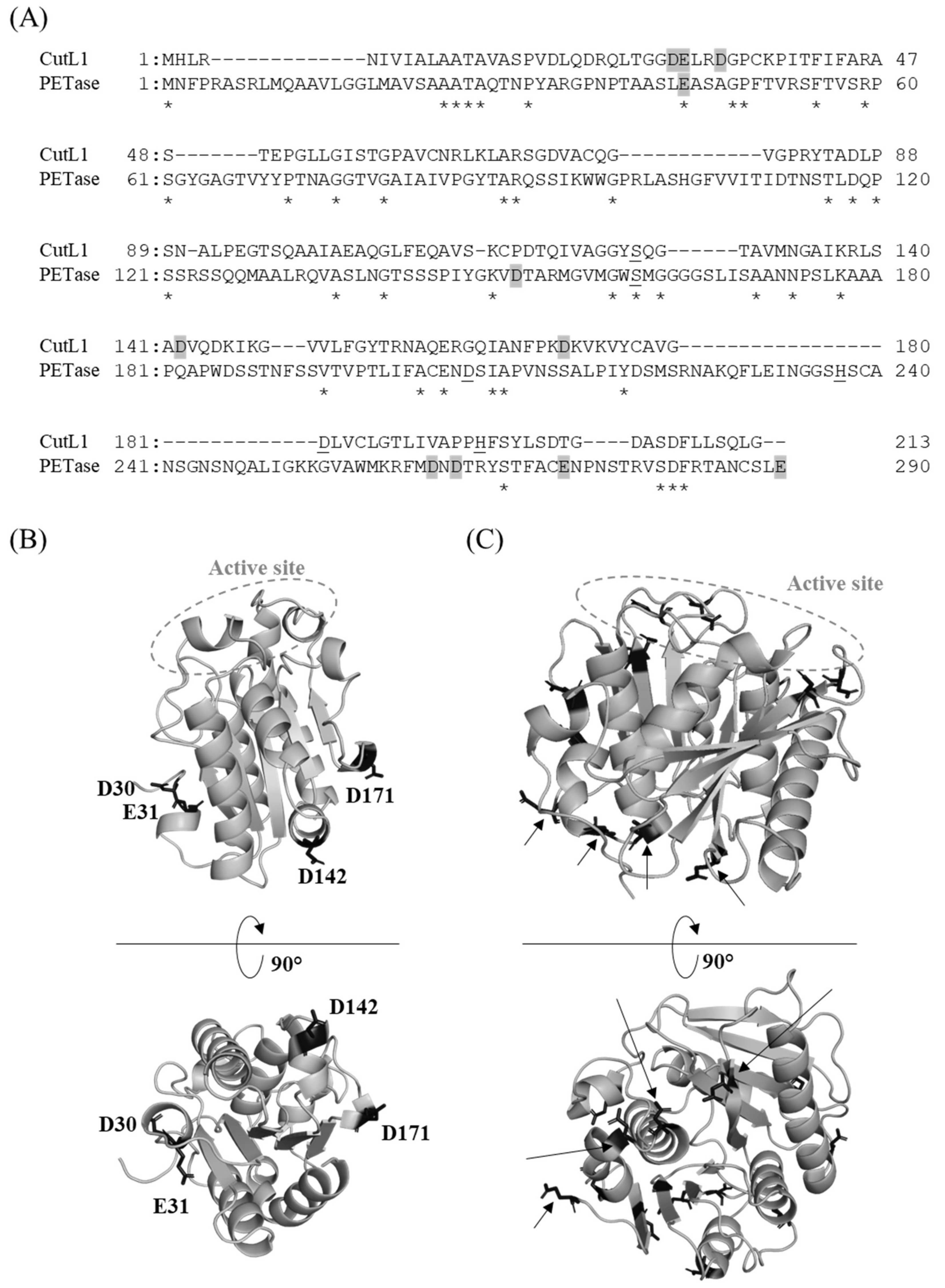 Microorganisms 10 01498 g004 550