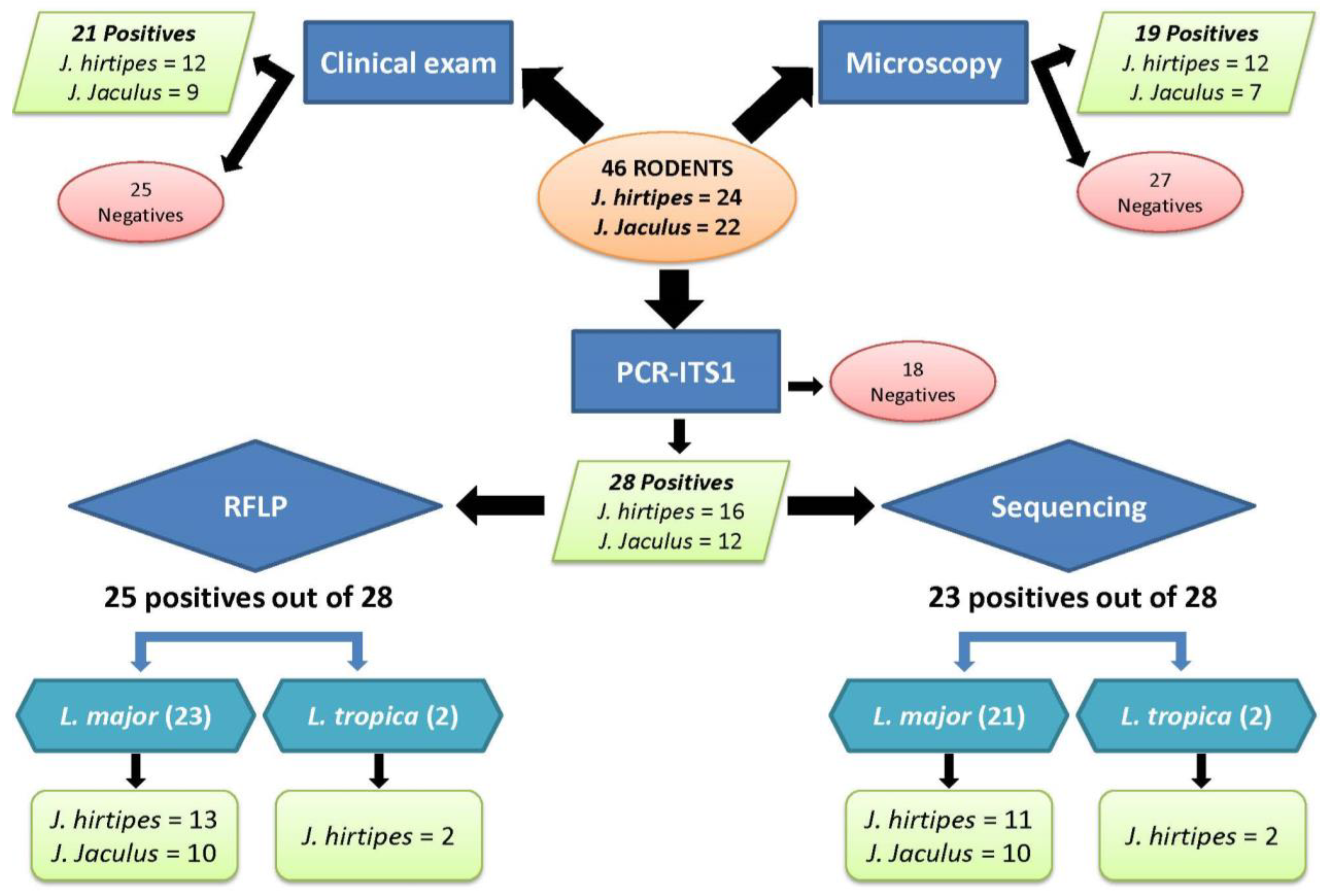 Microorganisms 10 01502 g001 Microorganisms 10 01502 g001