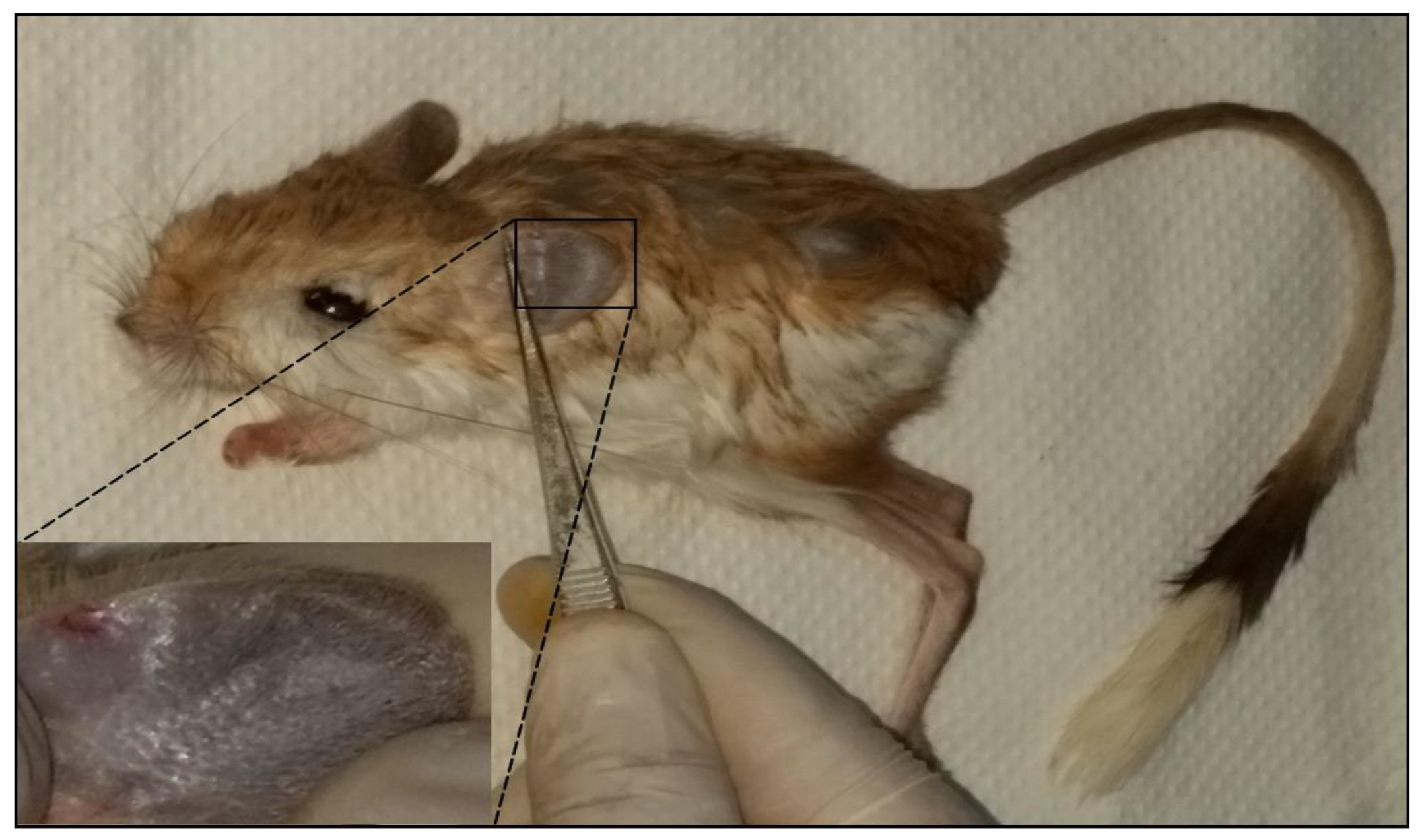 Microorganisms 10 01502 g002 Microorganisms 10 01502 g002