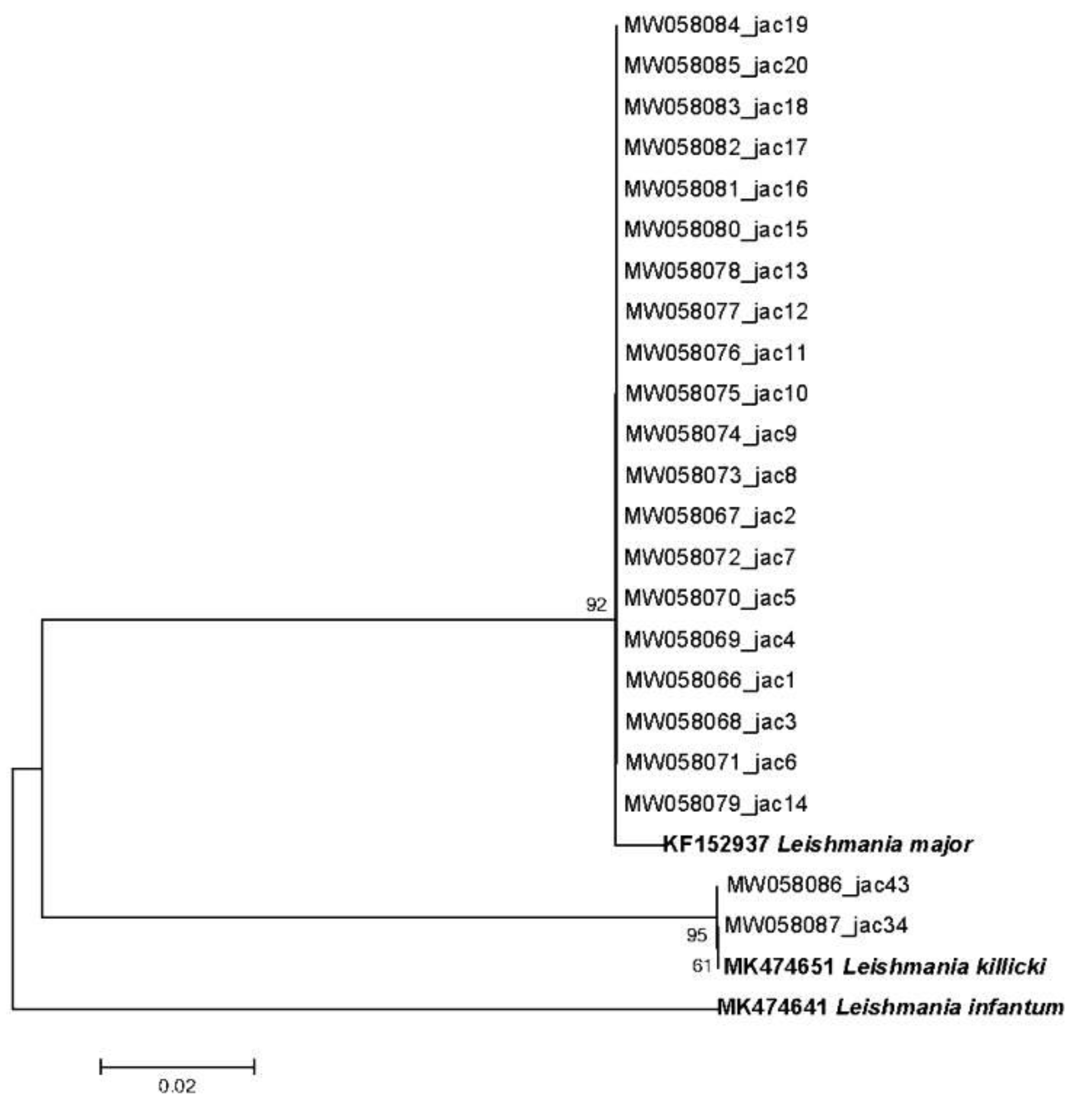 Microorganisms 10 01502 g004 Microorganisms 10 01502 g004