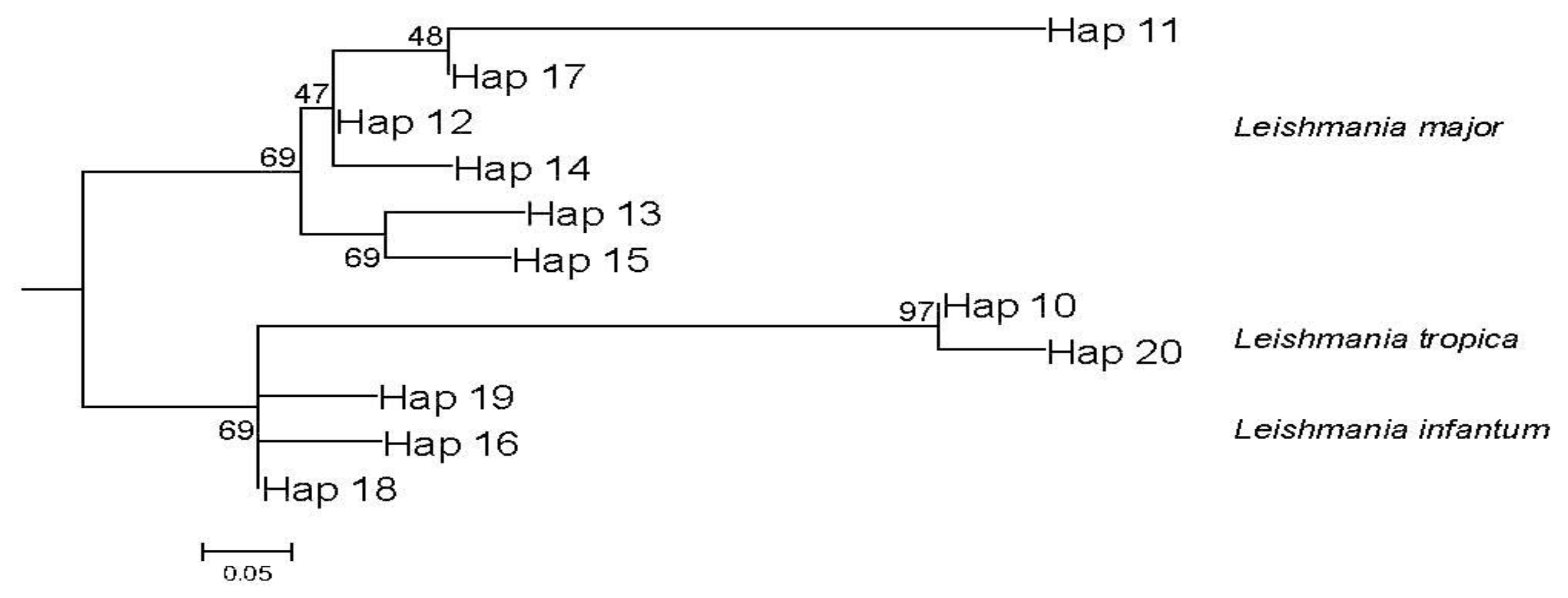 Microorganisms 10 01502 g006 Microorganisms 10 01502 g006