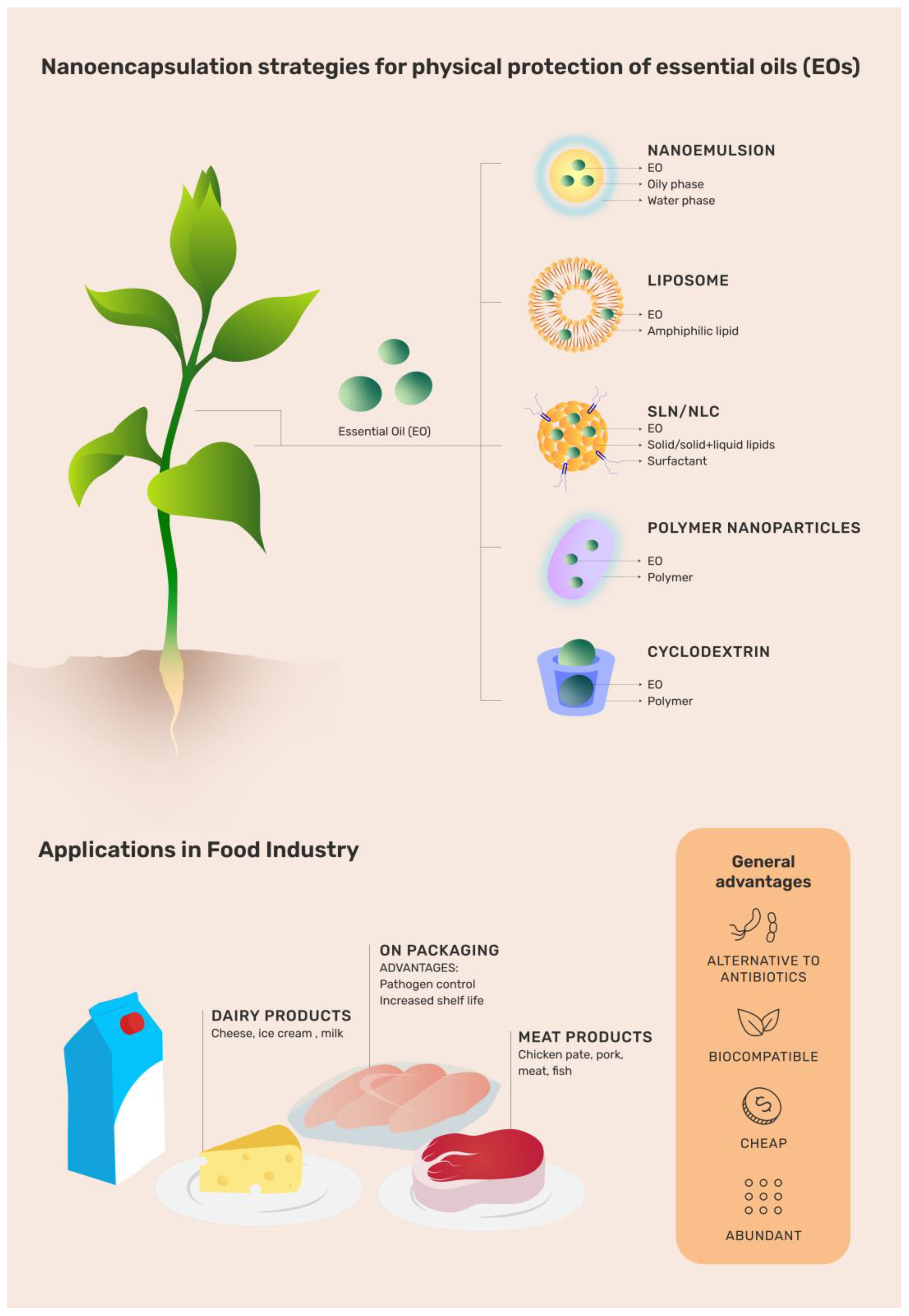 Microorganisms 10 01504 g001