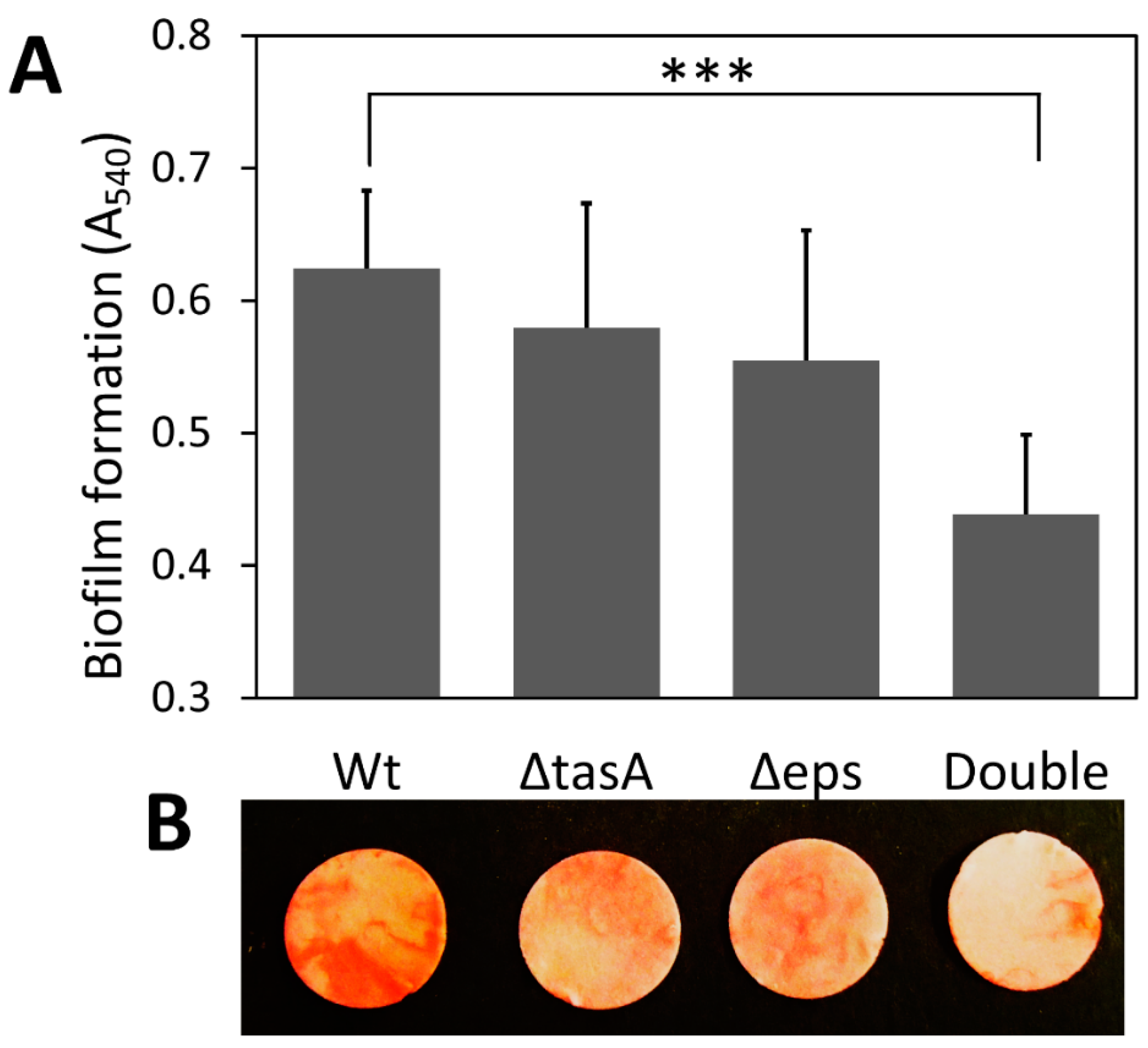 Microorganisms 10 01505 g001 Microorganisms 10 01505 g001