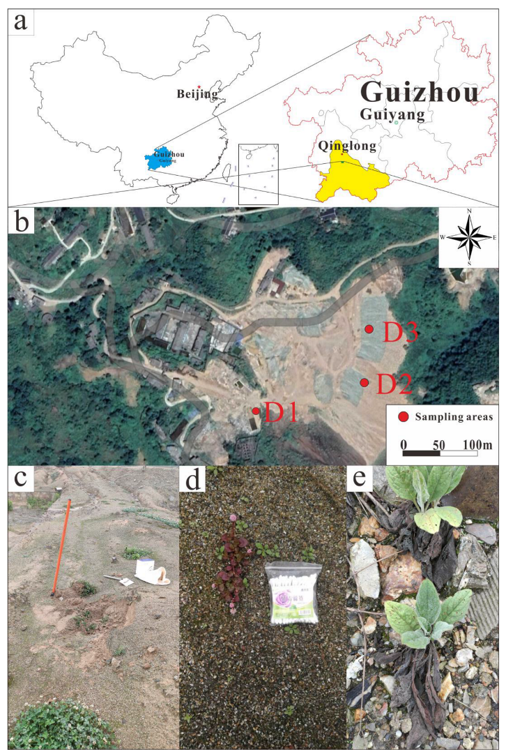 Microorganisms 10 01507 g001