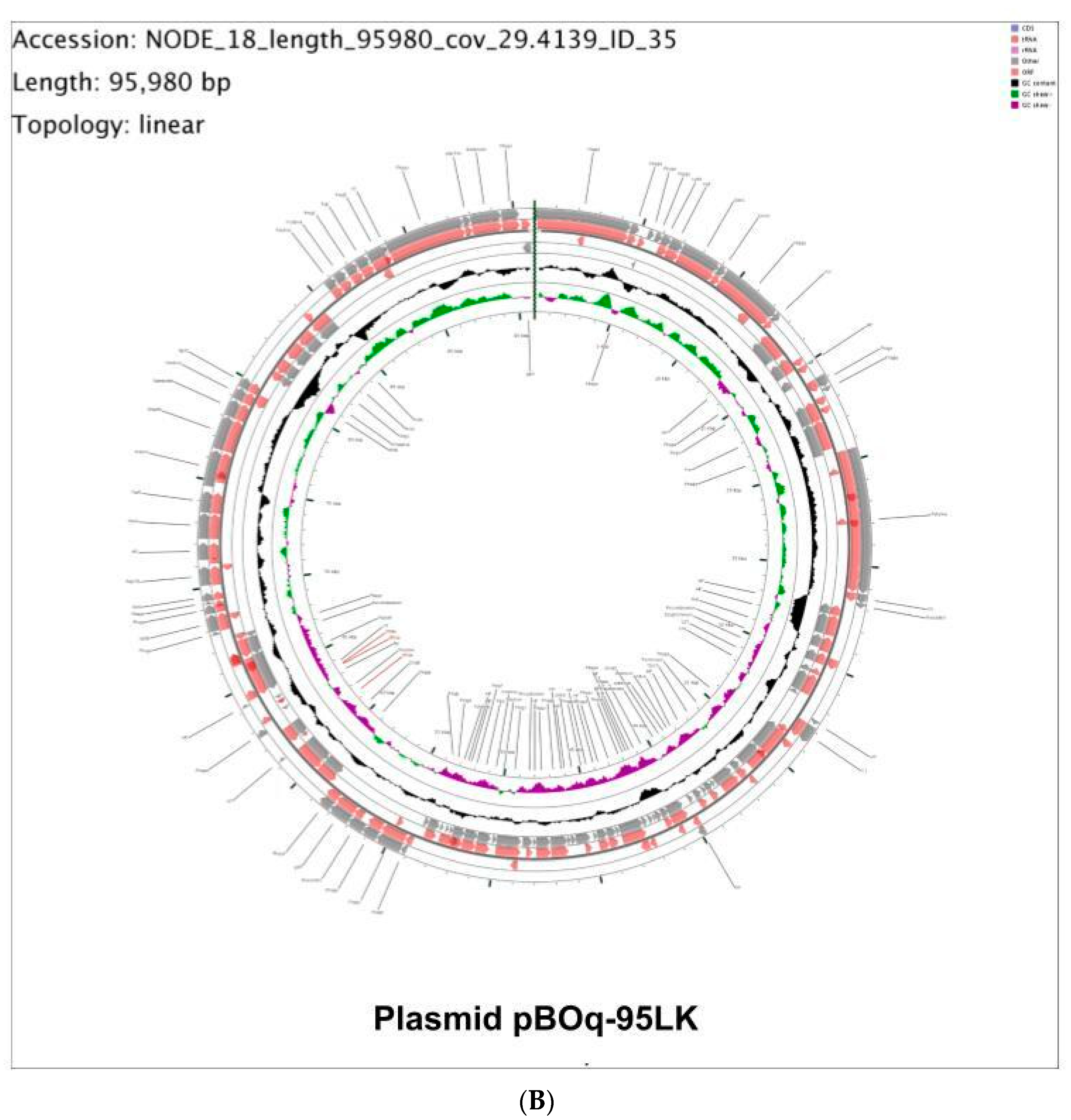 Microorganisms 10 01509 g002b