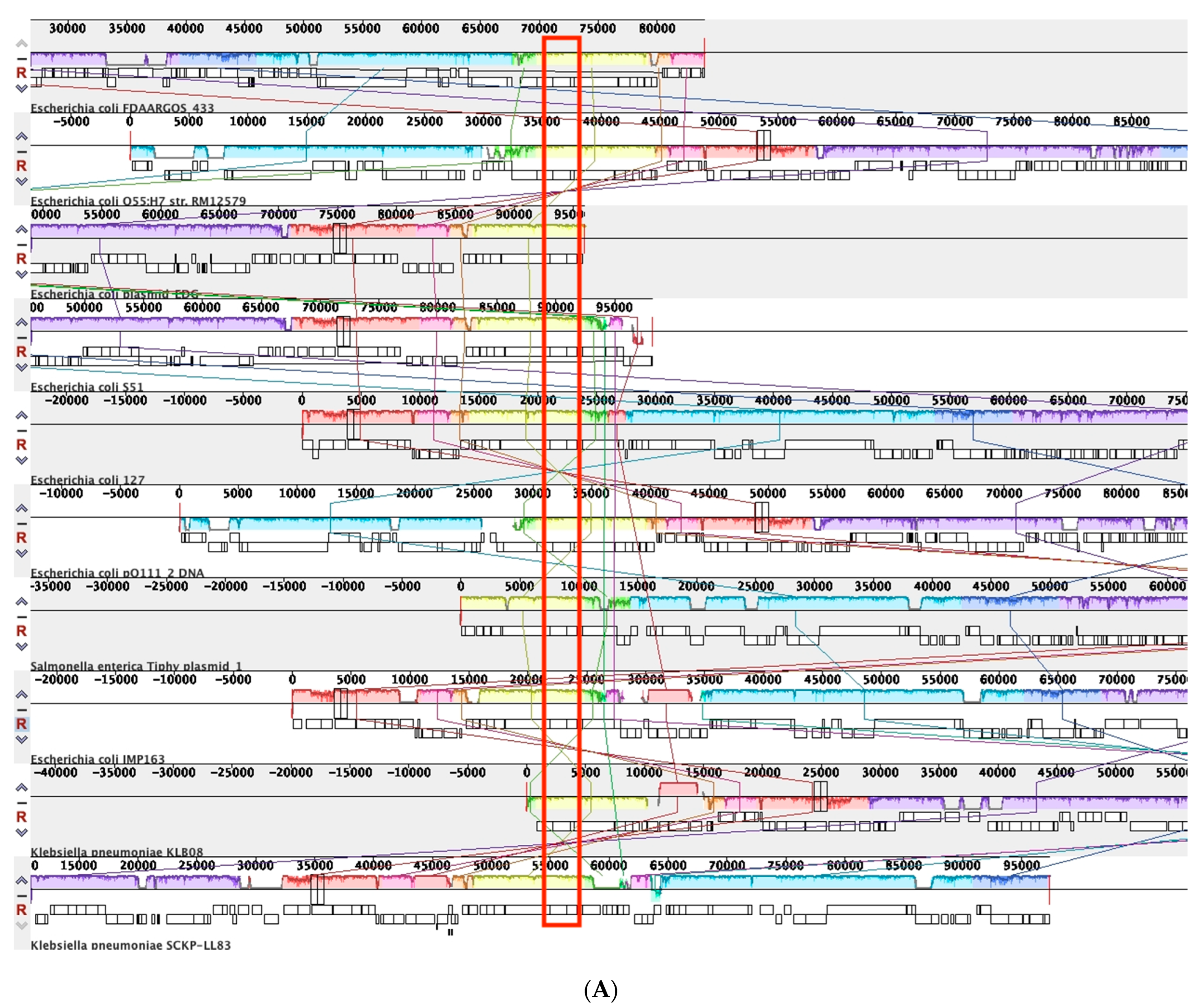 Microorganisms 10 01509 g003a