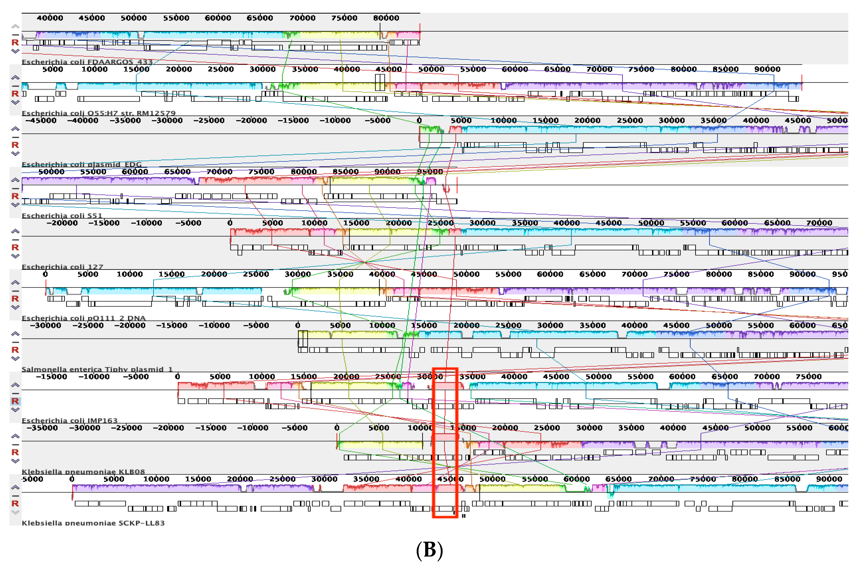 Microorganisms 10 01509 g003b