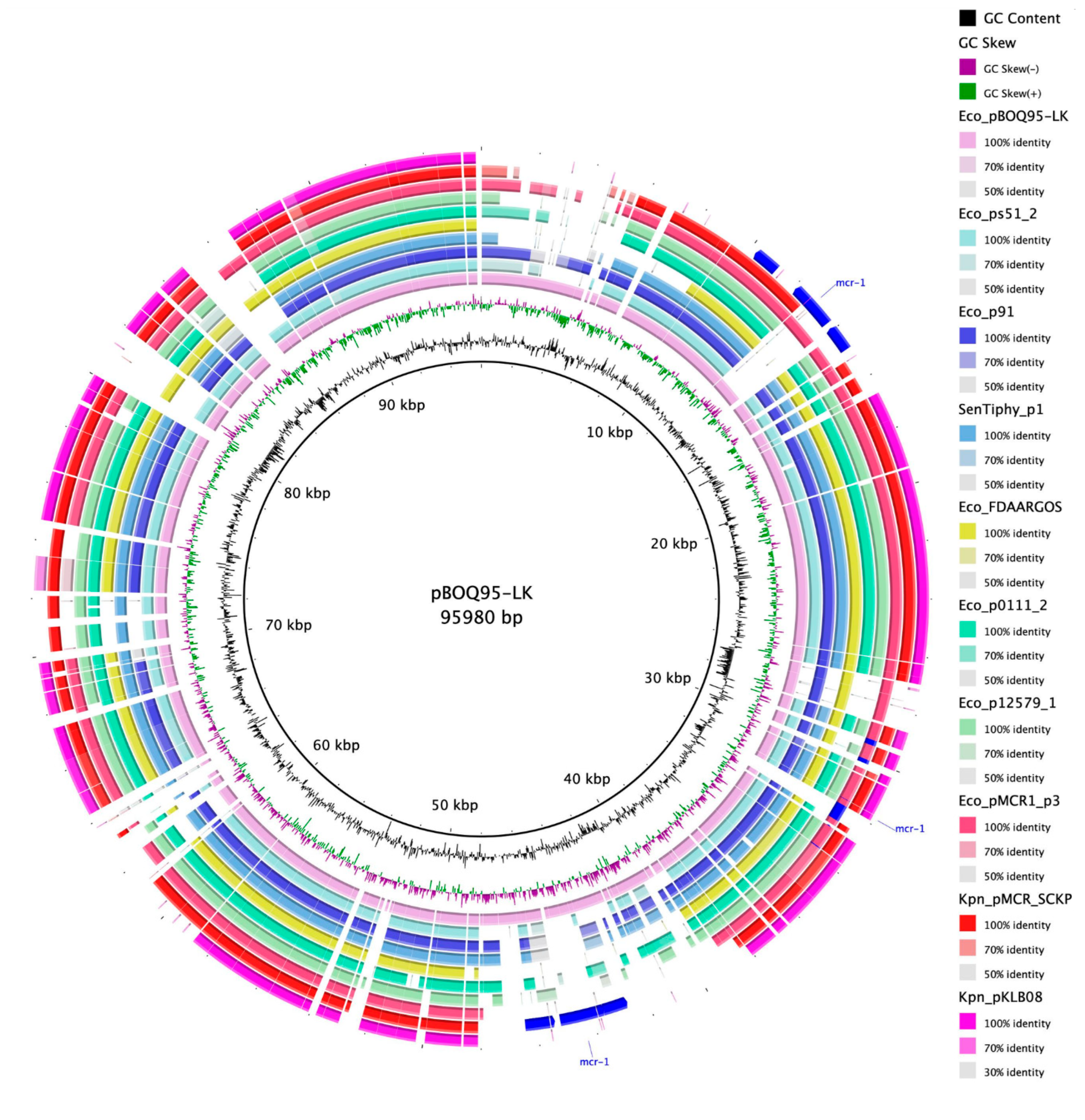 Microorganisms 10 01509 g004