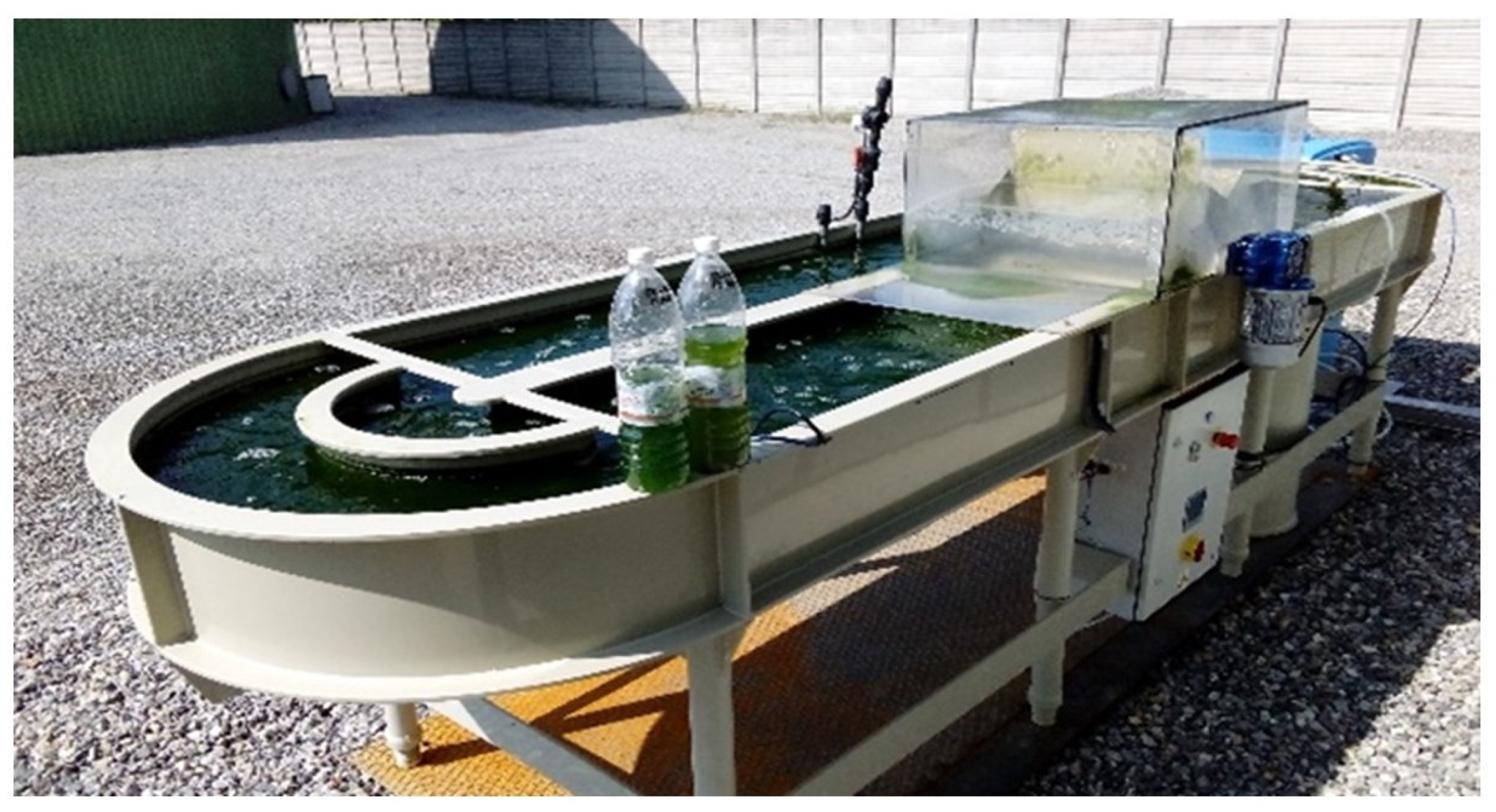 Microorganisms 10 01515 g001