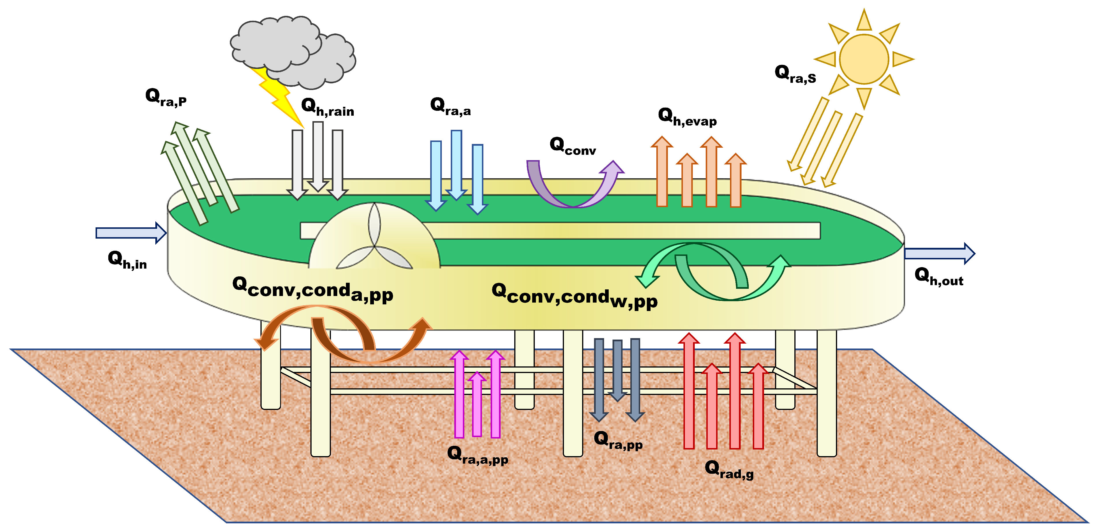 Microorganisms 10 01515 g002