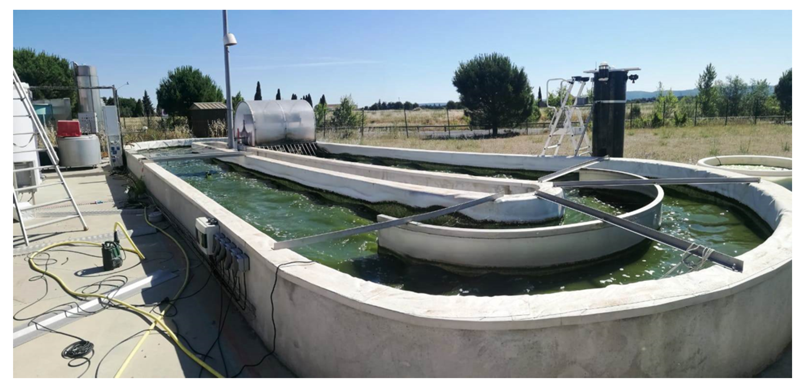 Microorganisms 10 01515 g0a1